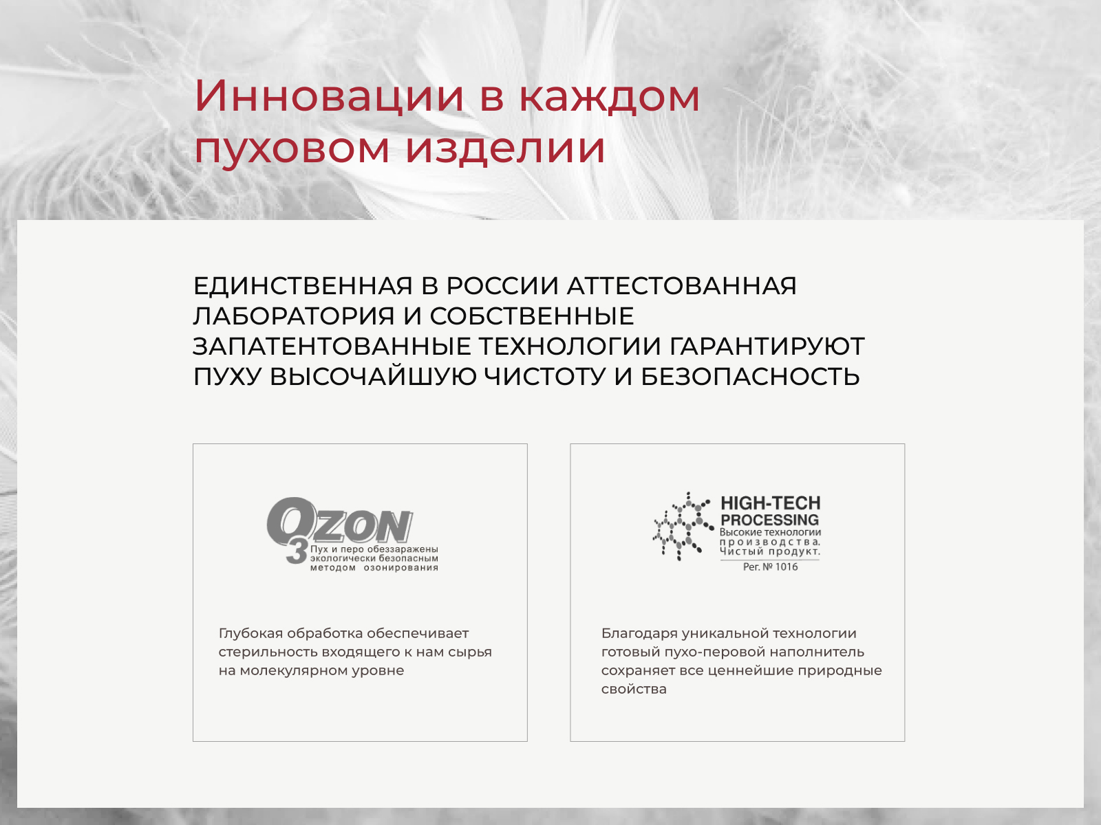 ������ Kariguz �������� � ������, ����������� � ��� � �����������