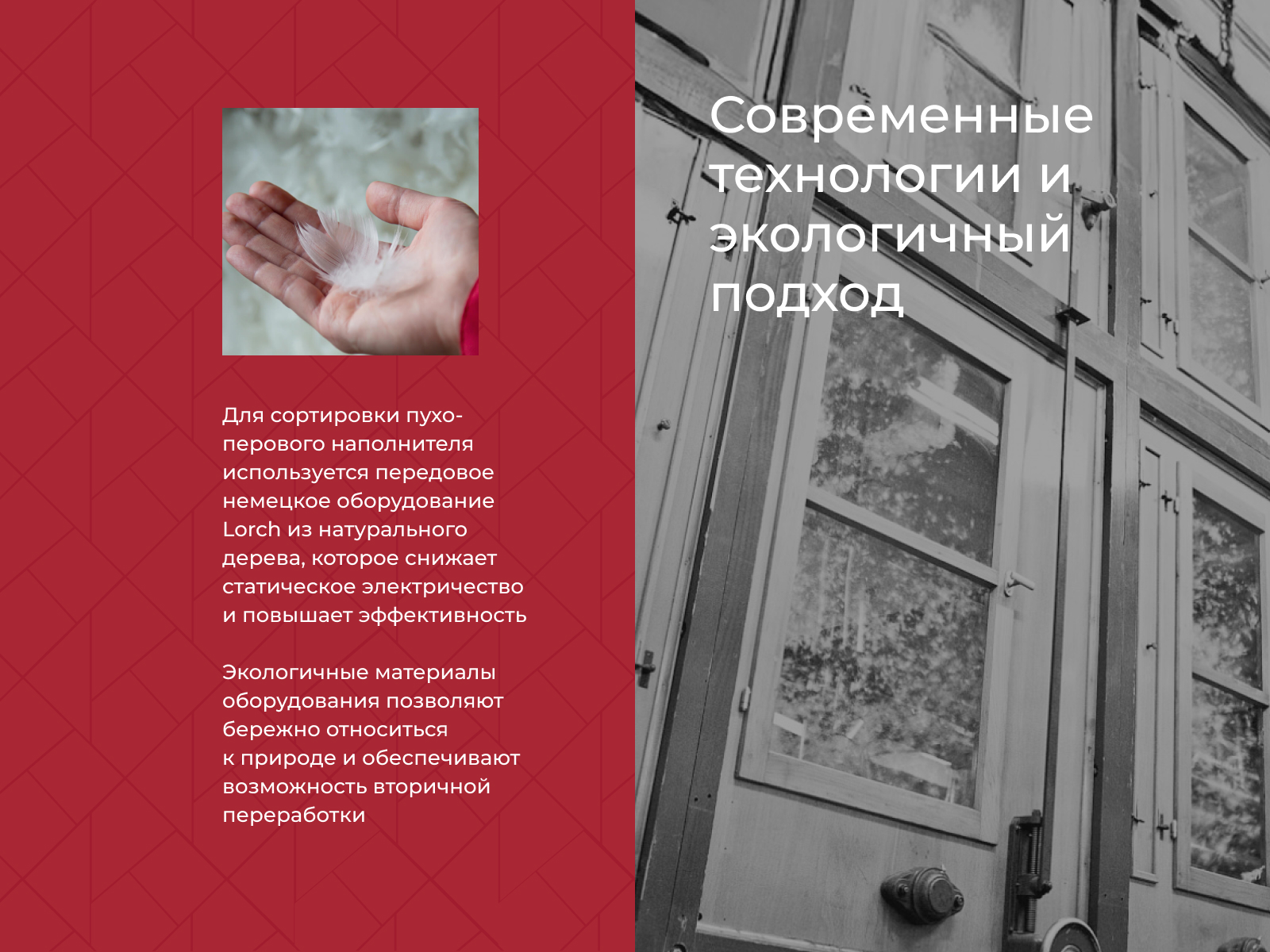 ������ Kariguz �������� � ������, ����������� � ���� 8550 �. � �����������