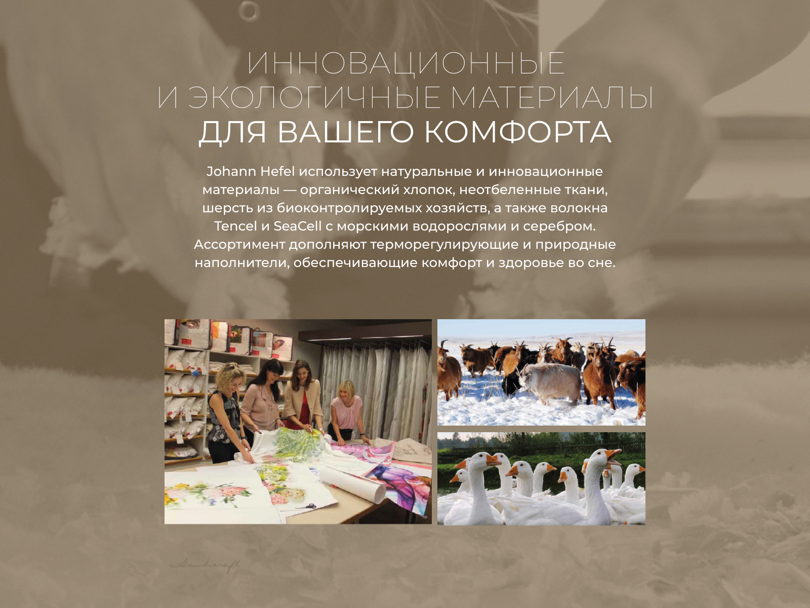 ������ Johann Hefel Summerlinen SD, ������ � ������ � ˸�