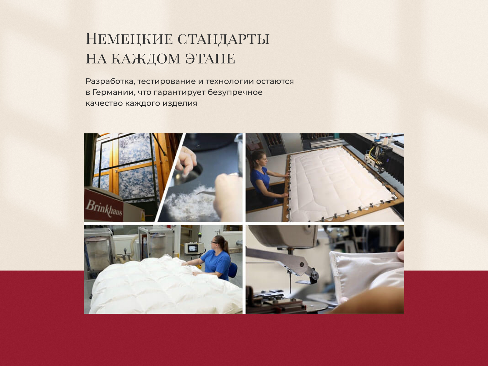 ������ Brinkhaus Mandarin, ������ � ظ�� � ������� � ��������