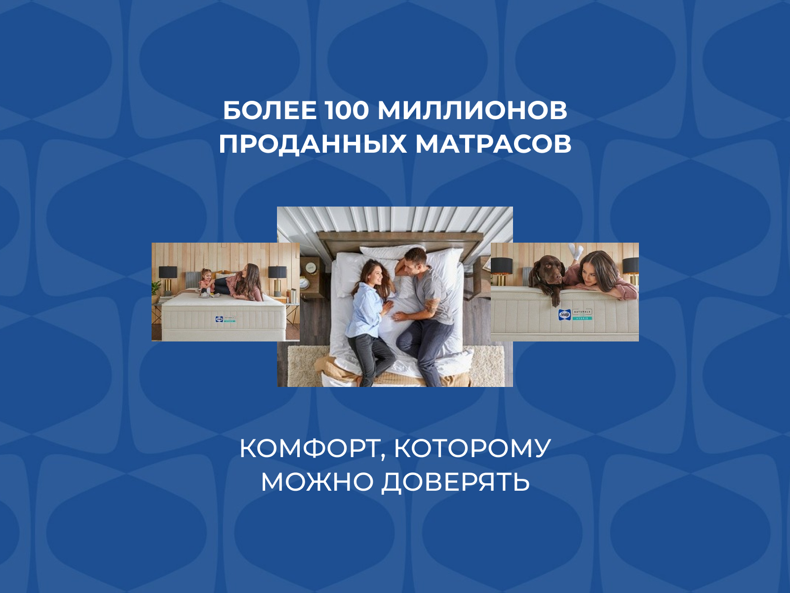 ������ Sealy Hybrid Plush � ���� 469700 �. � ������������� ������