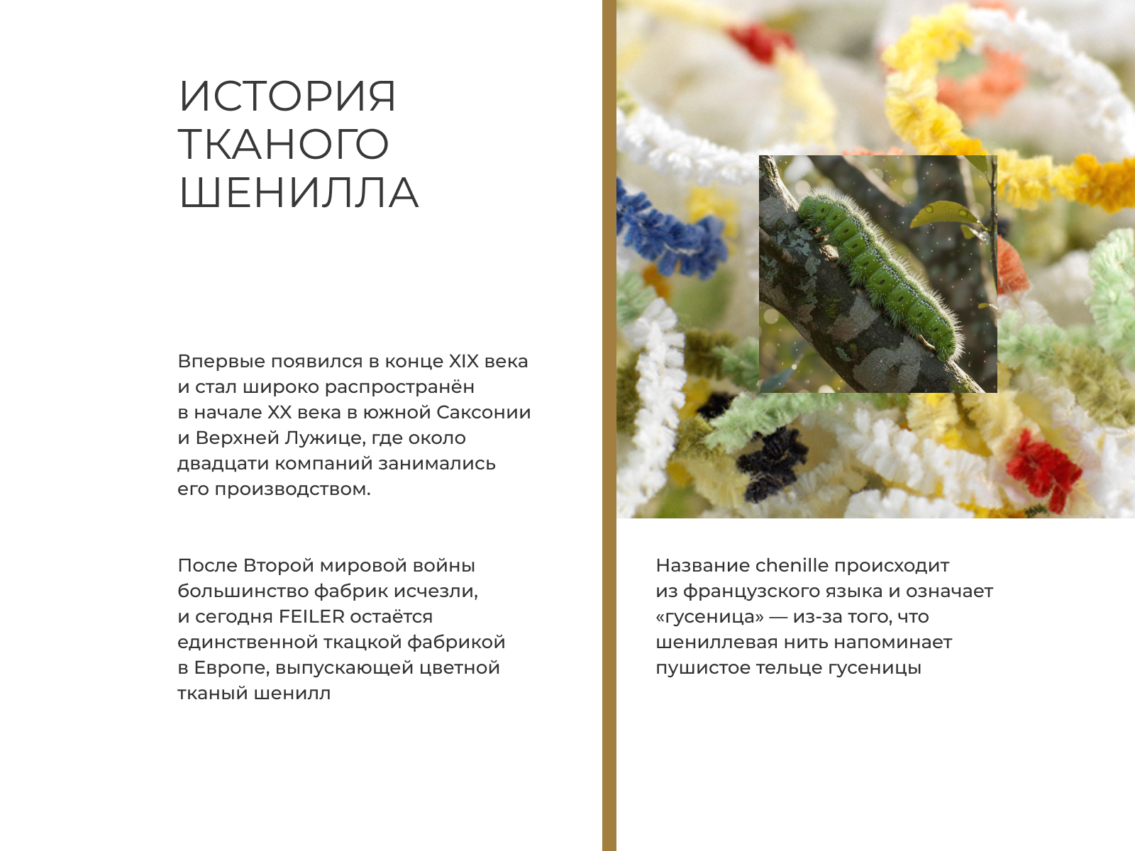 ���� Feiler Ekaterina � ���� 65000 �.