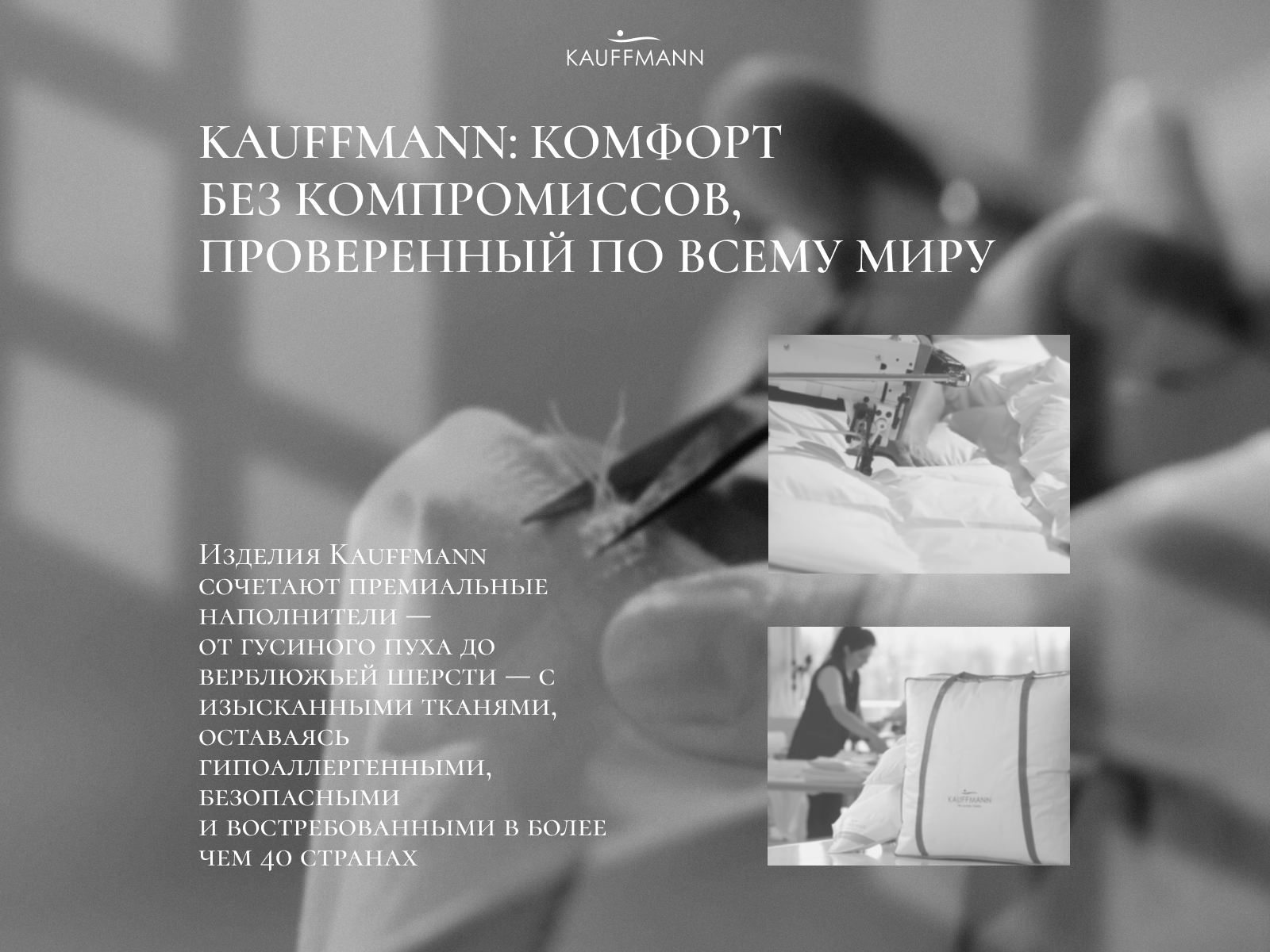 ������ Kauffmann Bavaria, ������ � ���� 296000 �. � 80 ��������