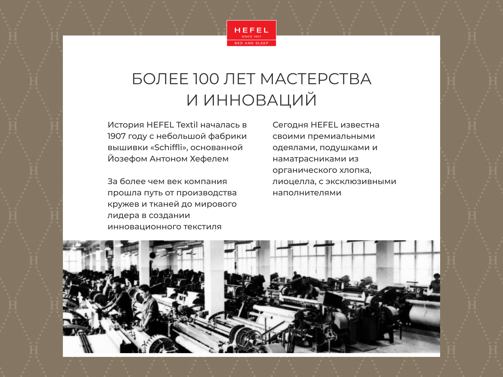 ������ Hefel Pure Camel GD Light � ���� 48363 �. � 18 ��������