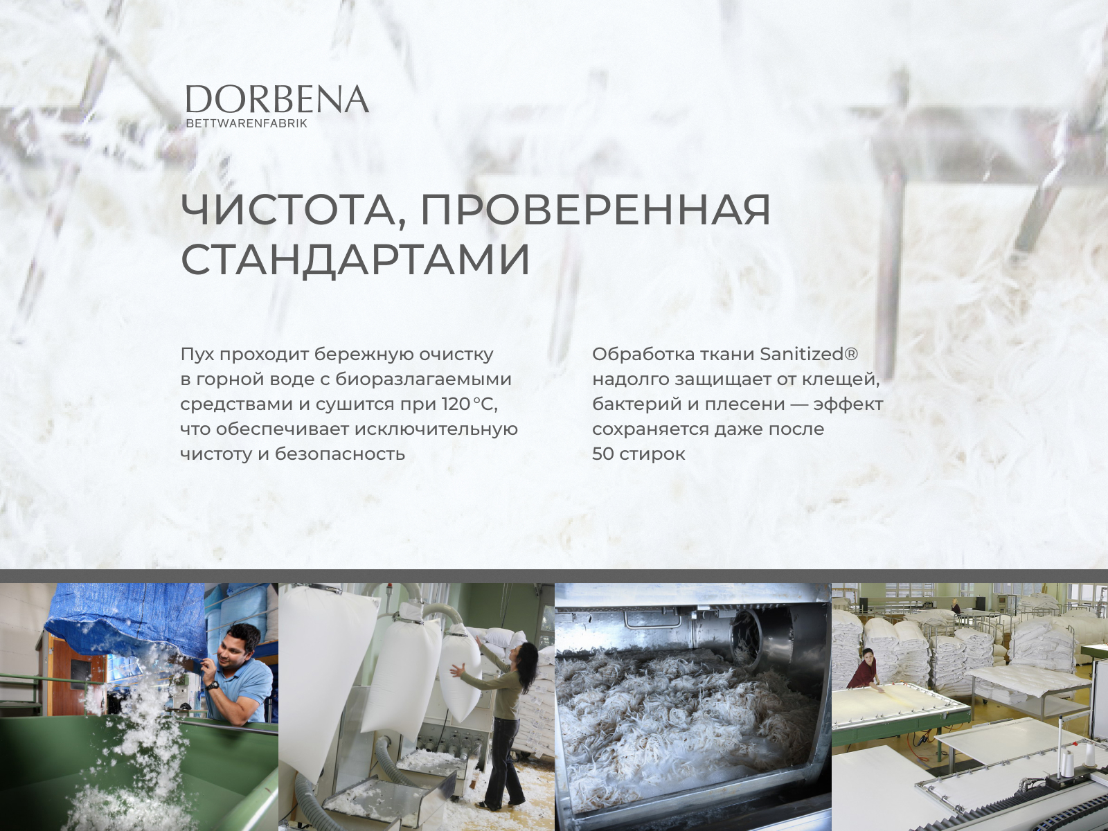 ������ Dorbena Premium Tencel Silver Complit QQQ, ������� � ���� 92679 �. � ���������