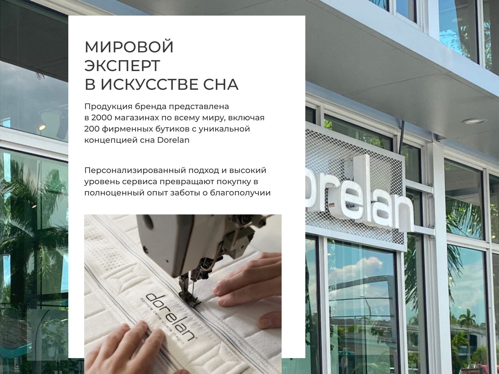 ��������� Dorelan Dogapiu Fissa � �������� 5 ��� � 81 ������