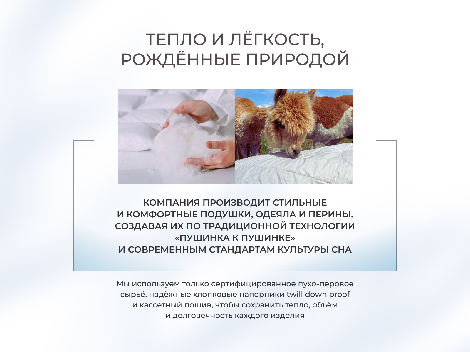 ������ �������� �����, ������ � ������ � 34 �������