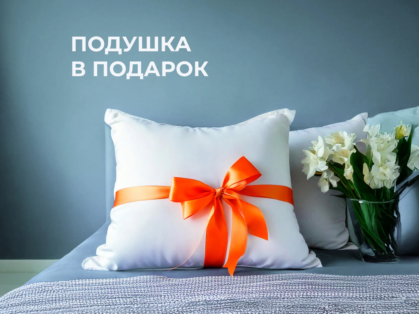 ������ ������� Kids Soft (Cotton Little) � ������-������� ������ � 18 ��������