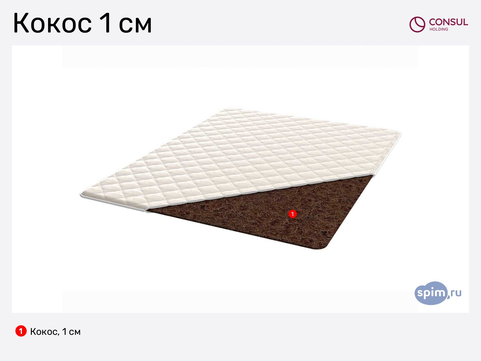 ������ Consul ����� 1 �� � ������