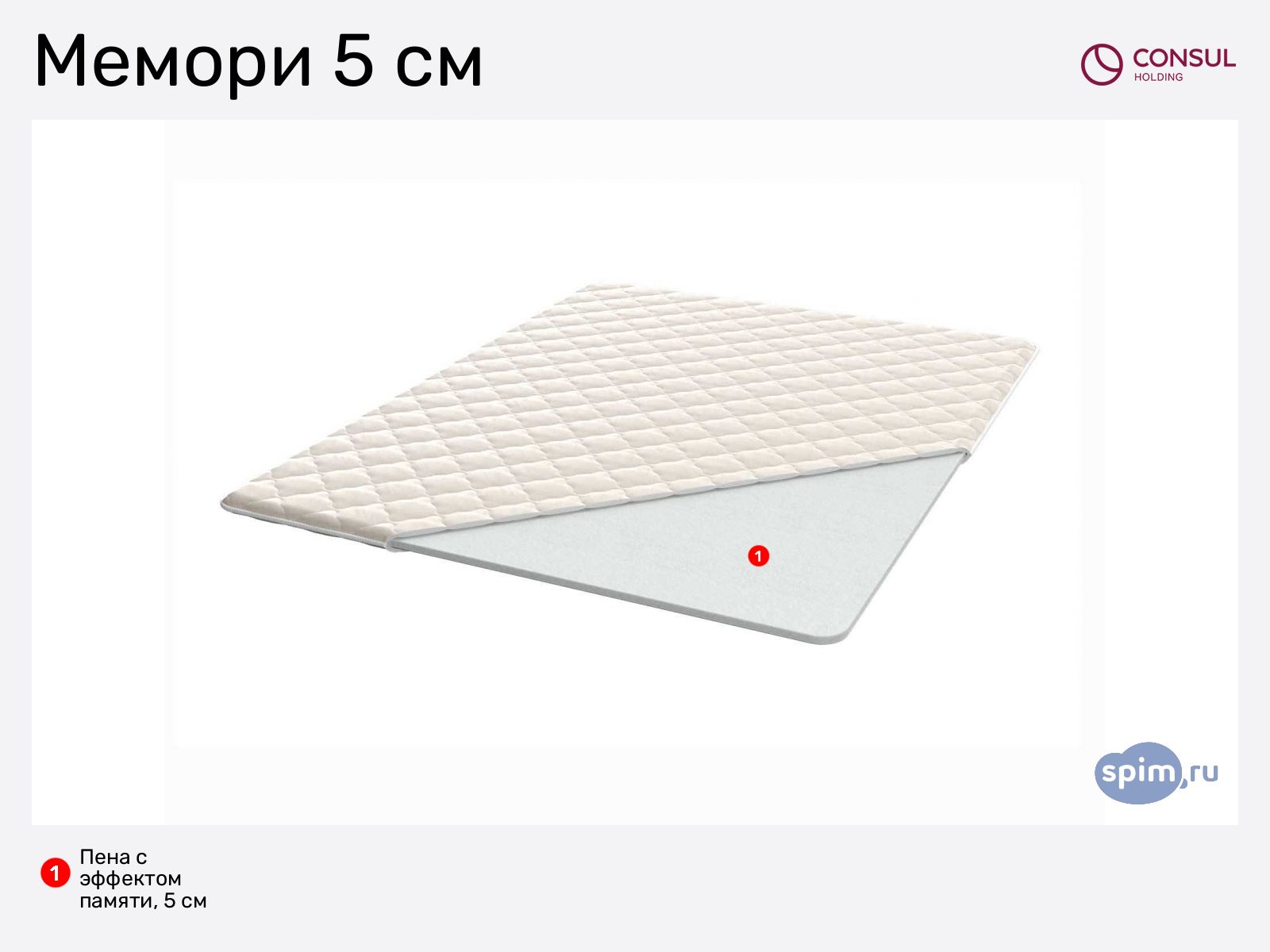 ������ Consul ������ 5 �� � ������