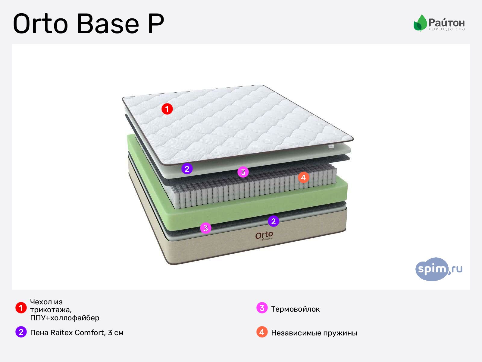 ������ Orto Base P � ������