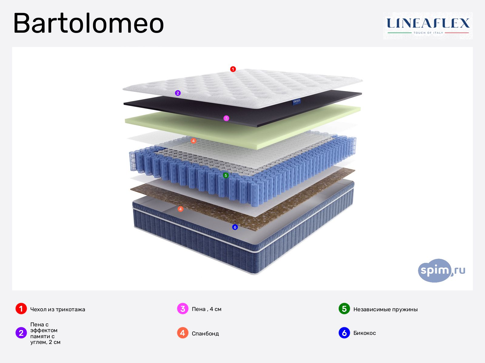 Lineaflex Bartolomeo � ������