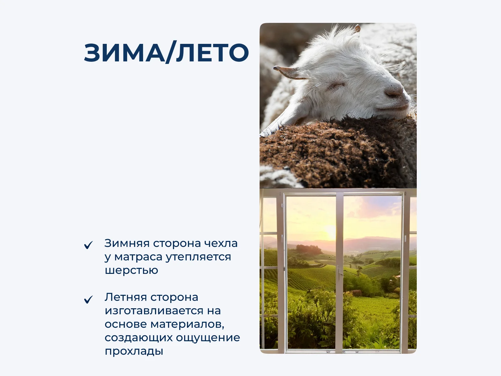 ������� ������� ������