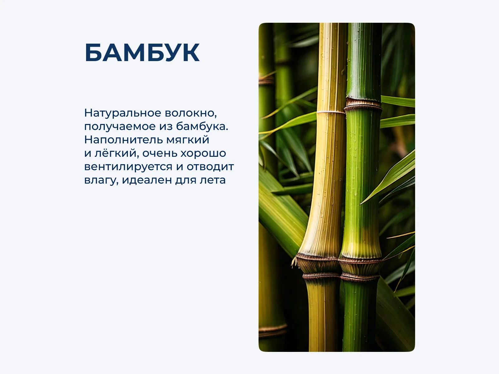 ������ Primavelle ���������� EcoBamboo � ���� 3940 �. � �����������