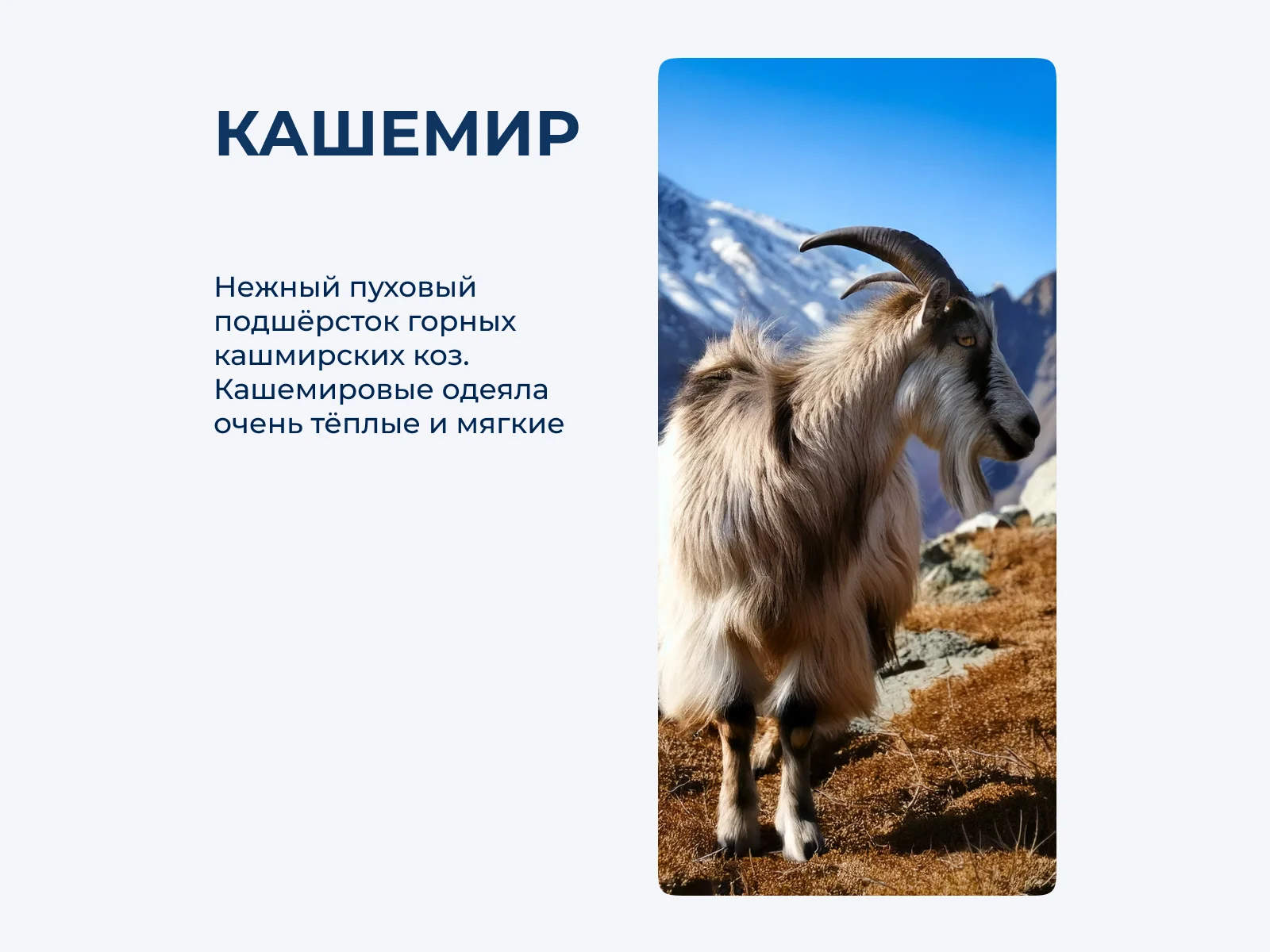 ����������� ������ Natures ����������� �������, ����������� � [170 x 205 ��] � 4 ������