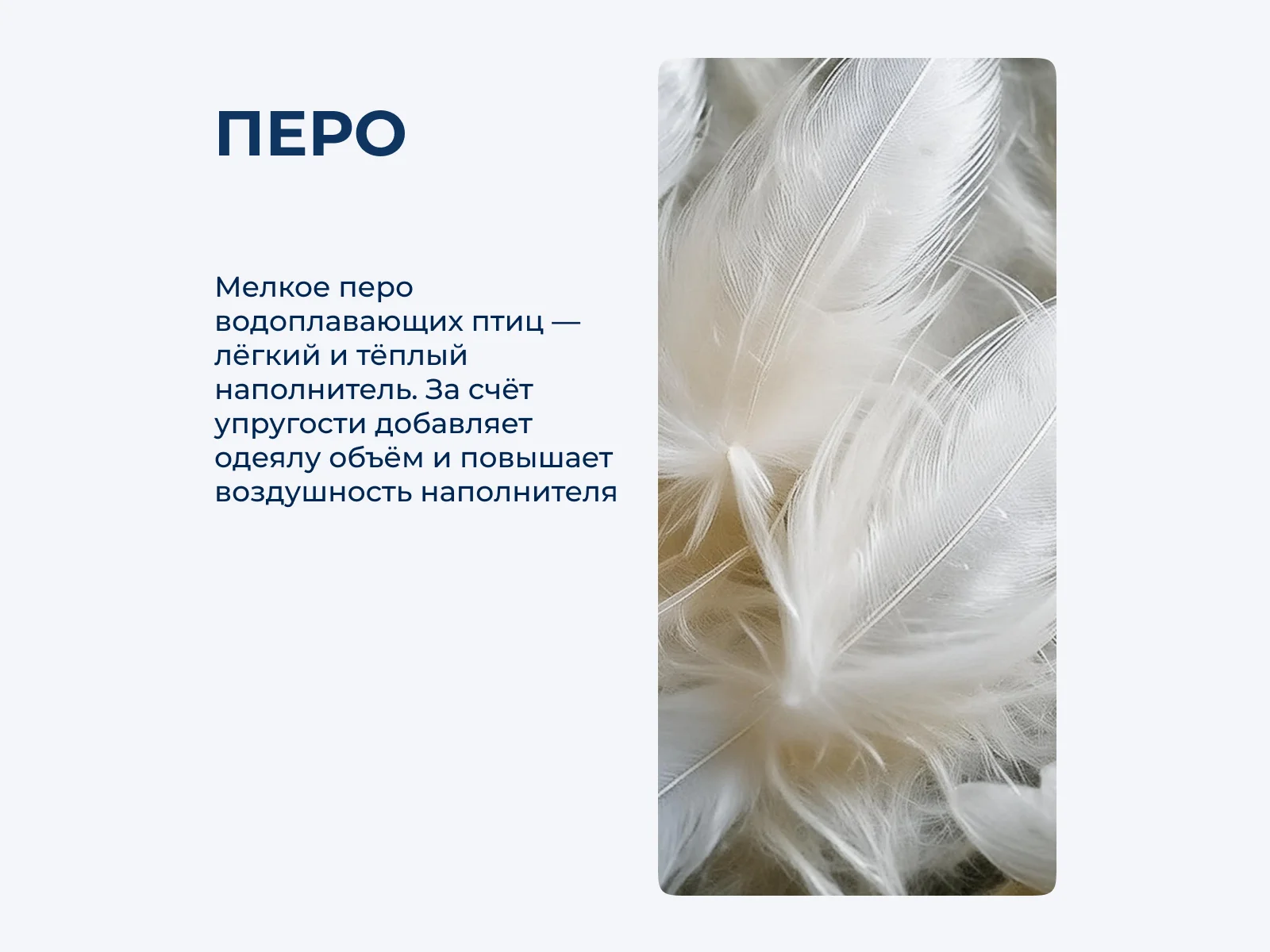 ������� ������ ������ ��� ��������, ������ � [170 x 205 ��] � ���