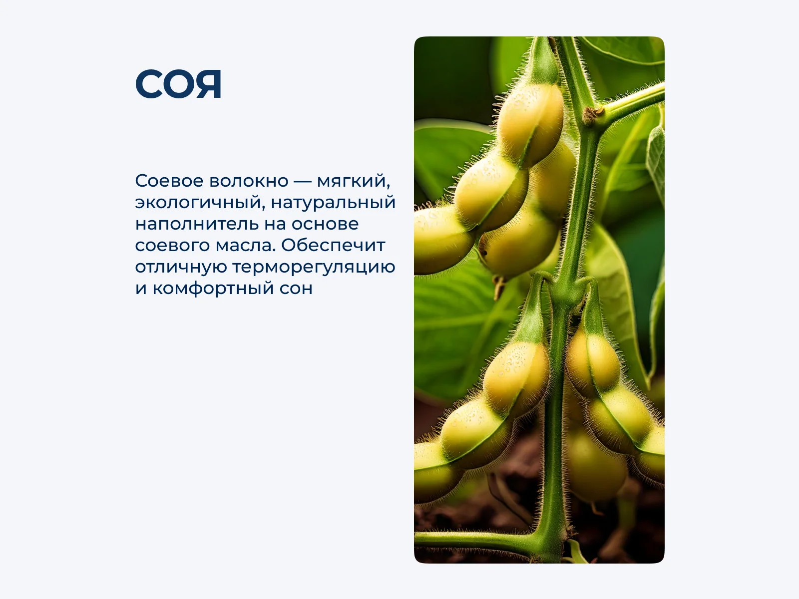 ������ Sofi De Marko Antibacterial � ���� 12280 �. � �����������