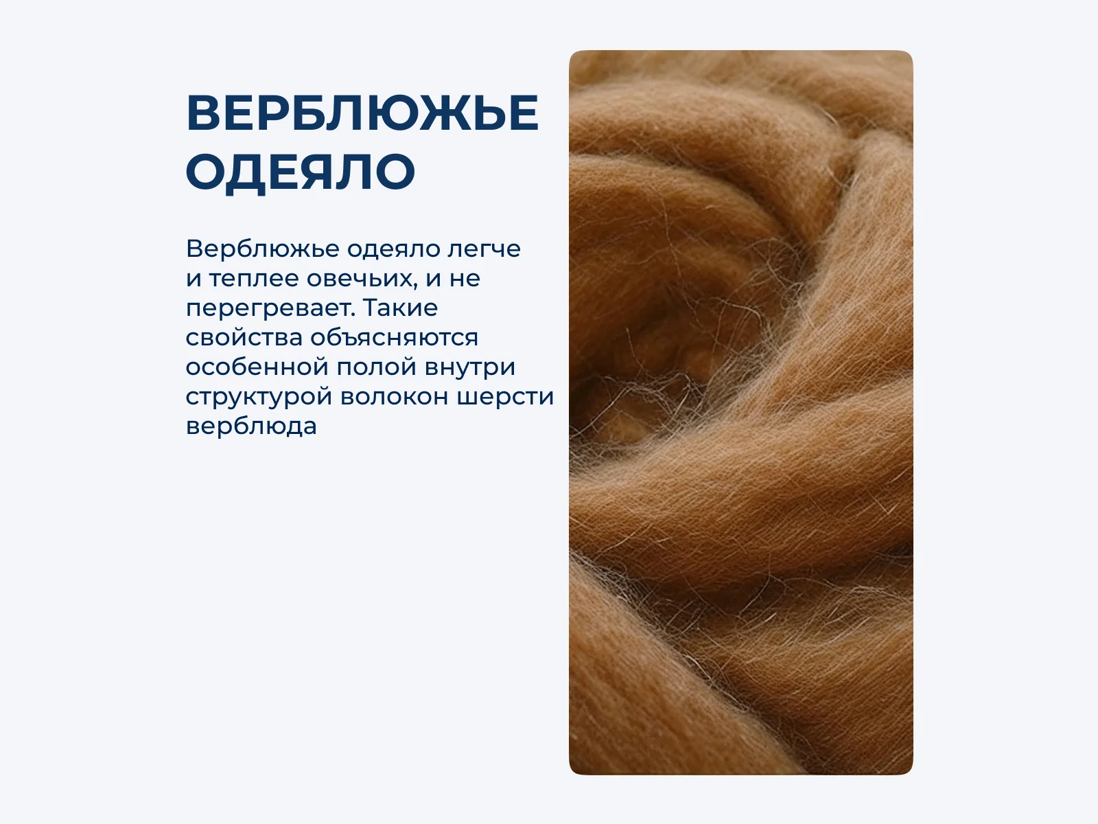 ������ ������ ���� ����� Mozart Royal Medium