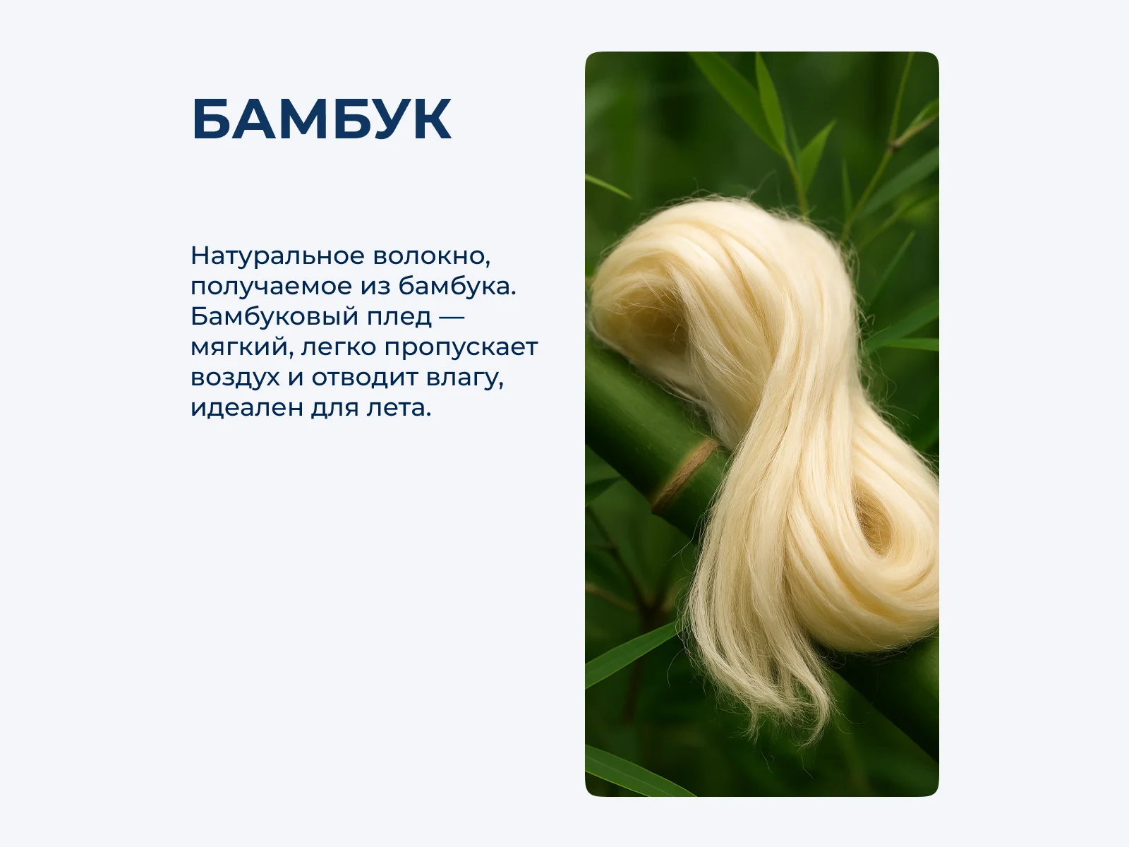 ���� Primavelle Bamboo, �������� � ���� 7650 �. � ������