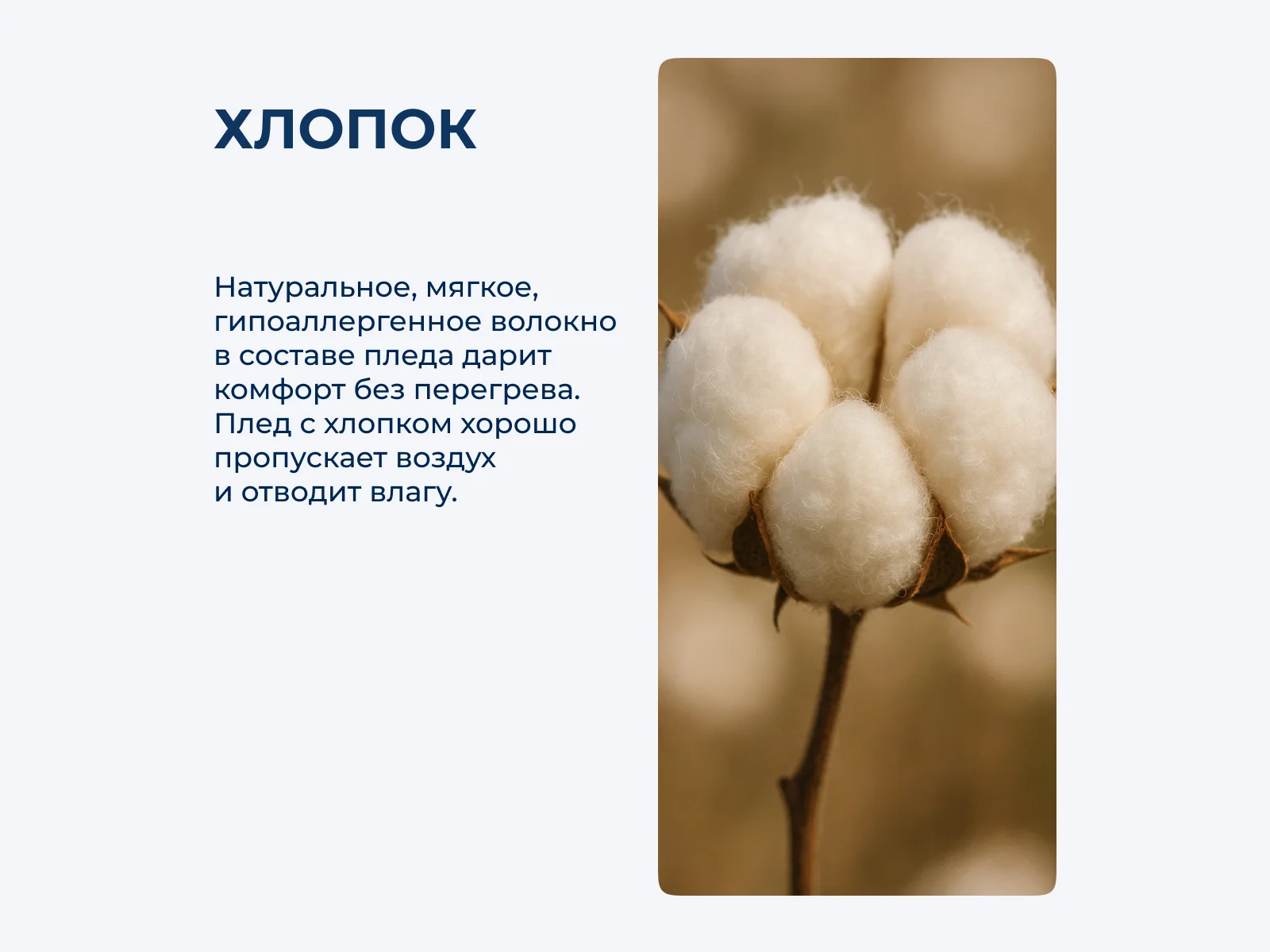 ���� Luxberry Lux 63, ����������� ������� � ���� 13700 �. � ������