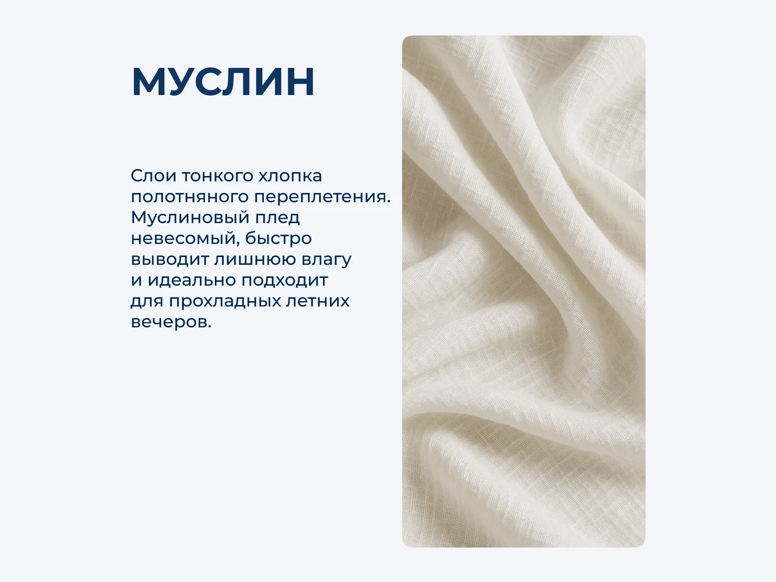 ������ ���� Asabella 2277 ��������