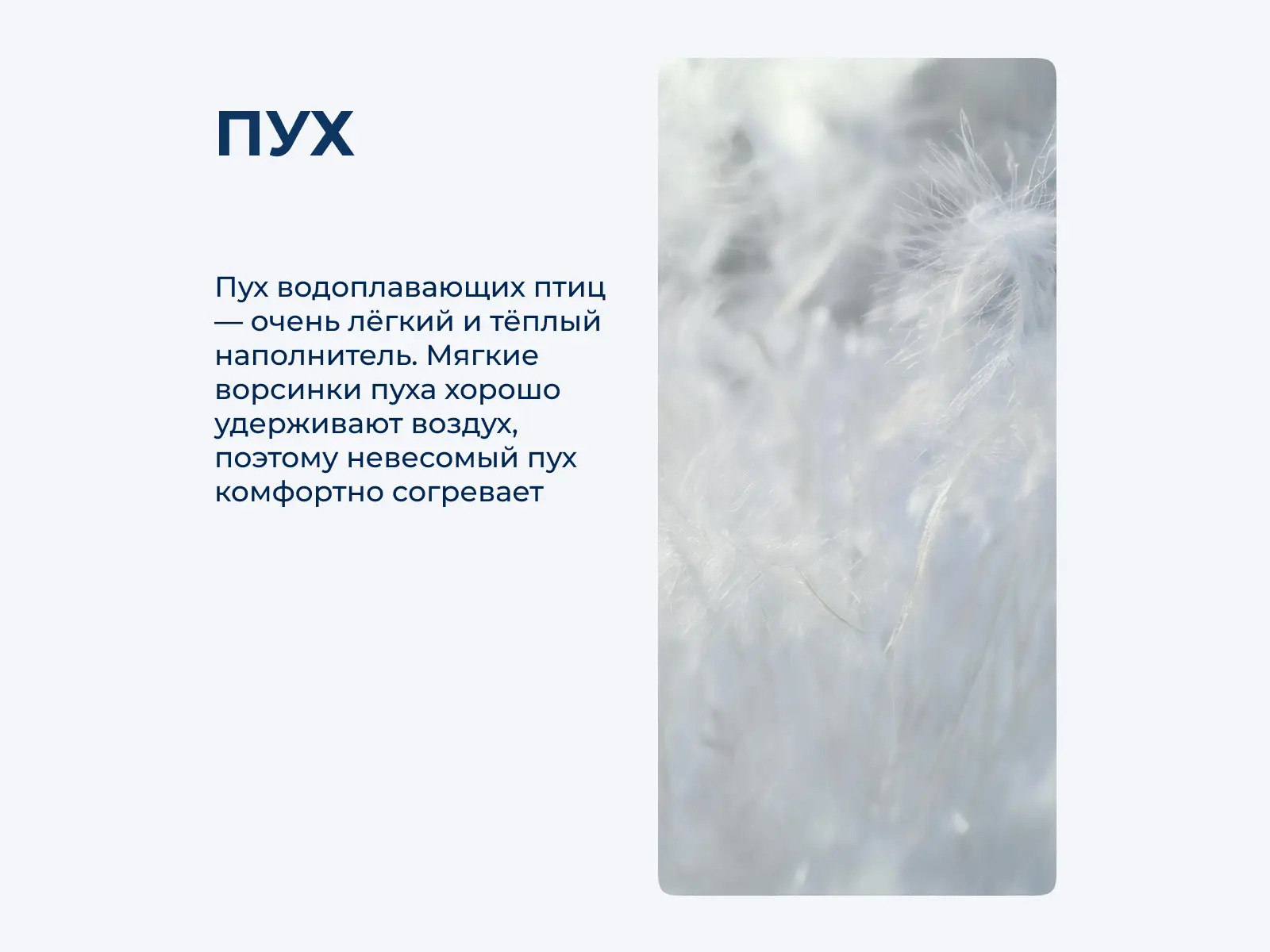 ���� German Grass Travel Plaid Grass grey � ���� 15080 �. � 9 ��������