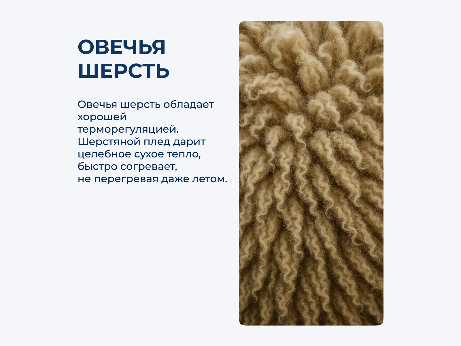 ���� Elvang Inca � ���� 20790 �. � ������ ������