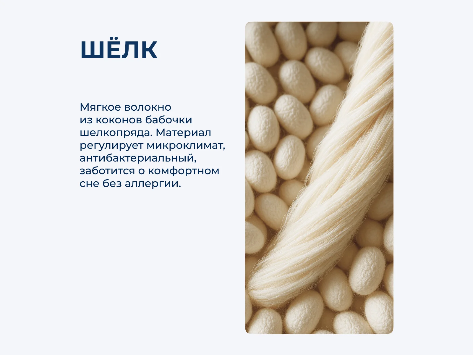 ����� ���������� ���������� ���� ����