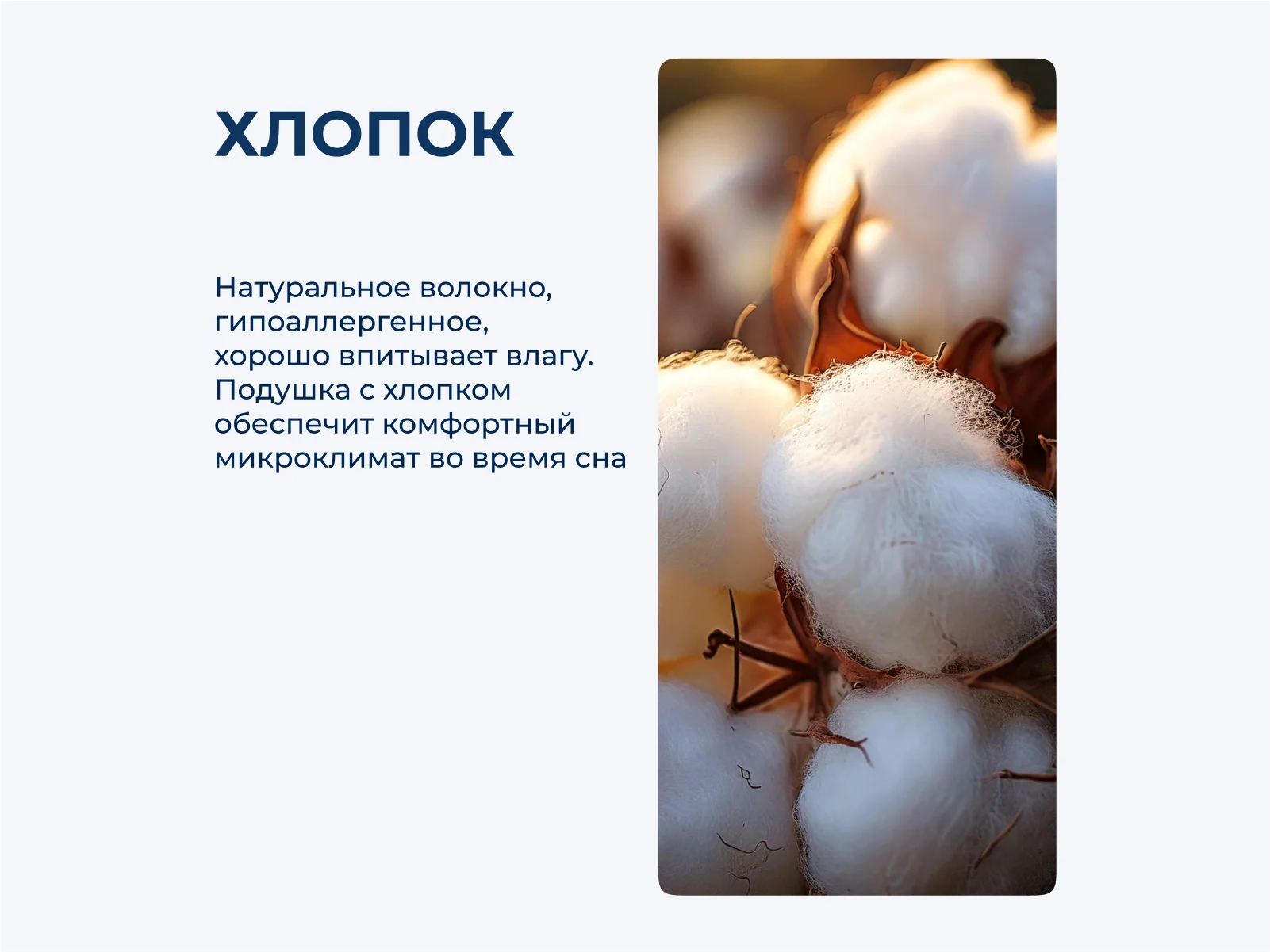 ������� German Grass �ottonwash Grass 70, ���. 122120 � ������������ ����� � ������