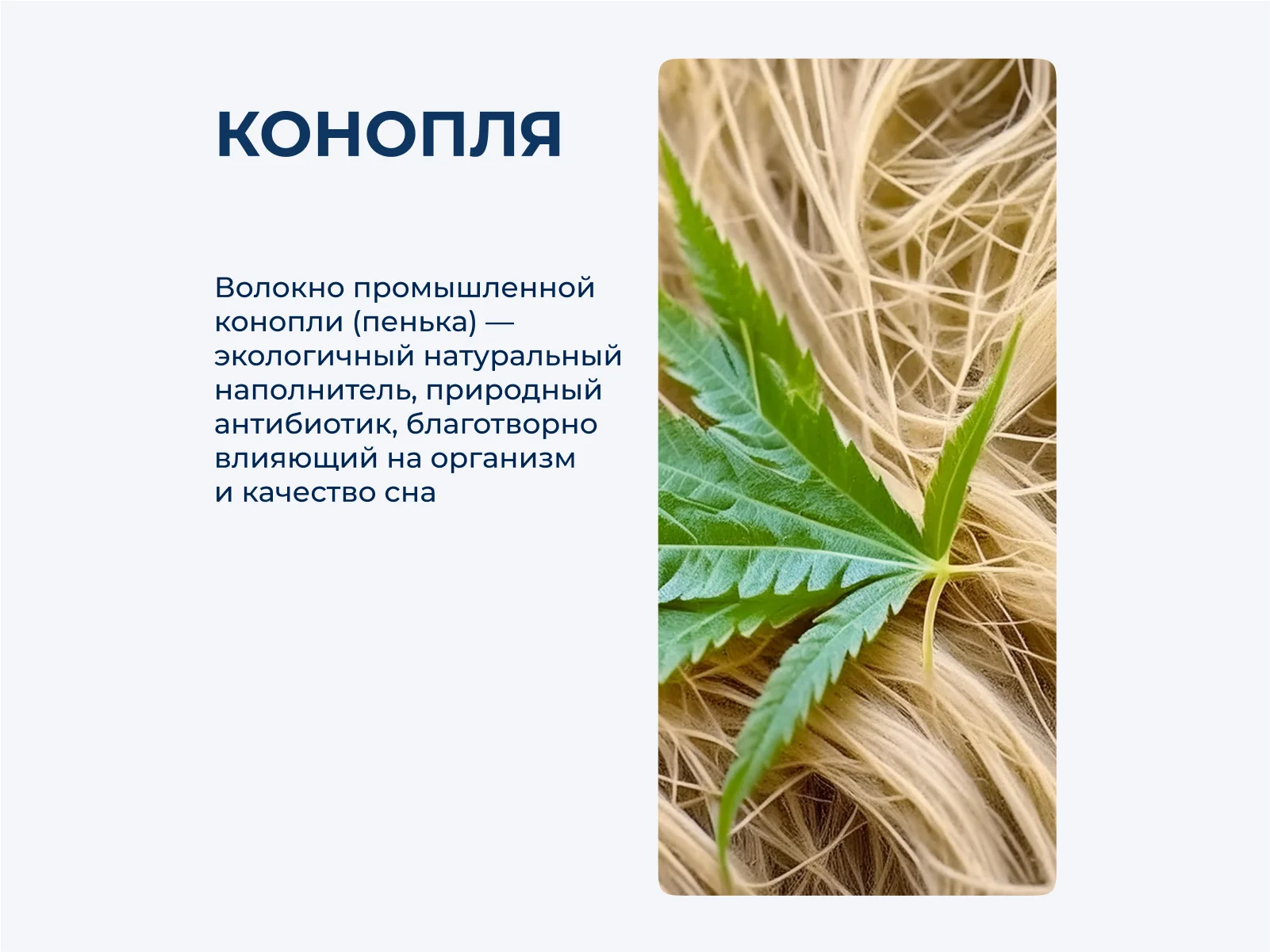 ������� Johann Hefel Bio Hanf 50 � ������������ ����� � ������