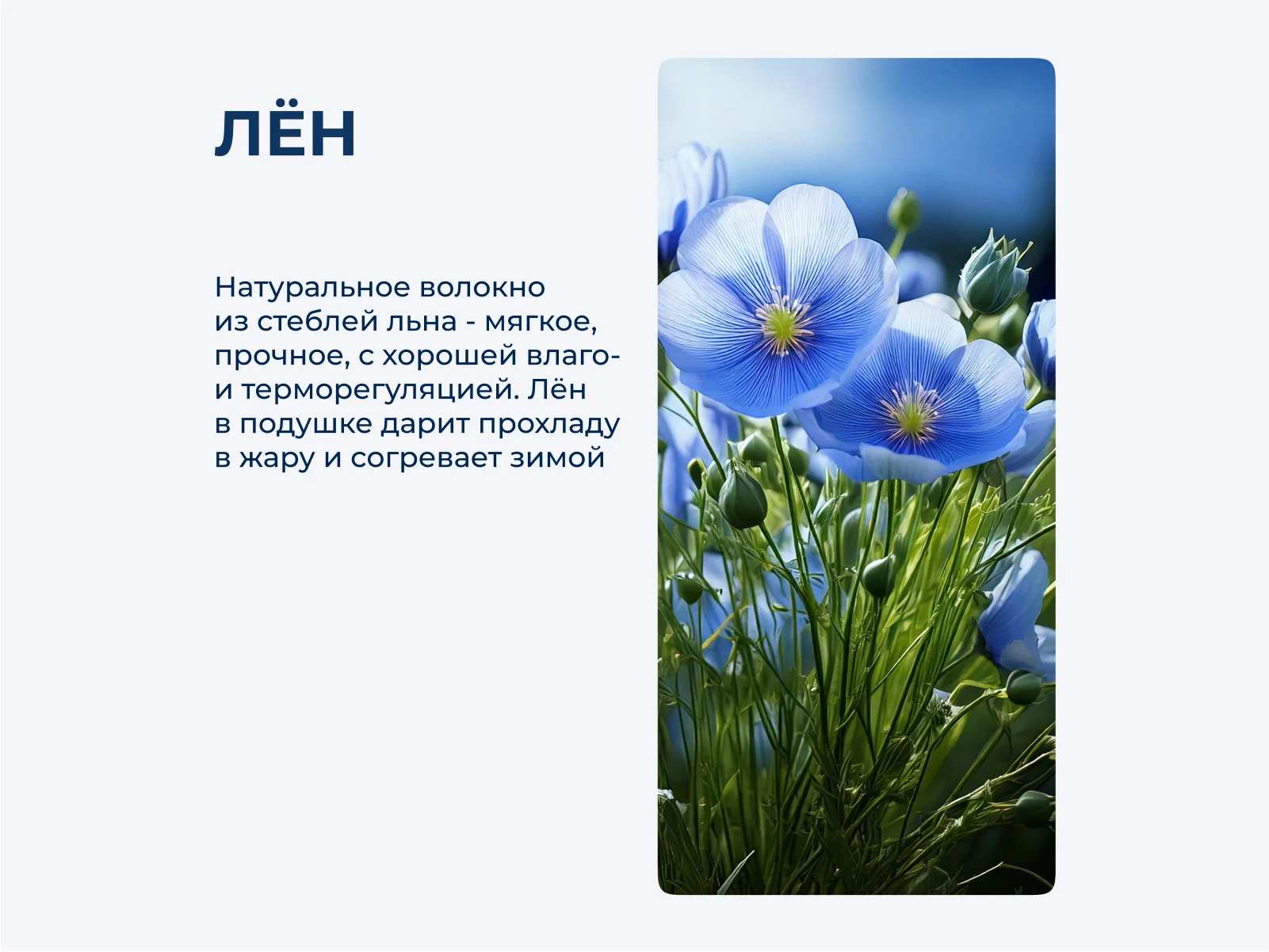 ������� German Grass Linenwash Grass 70, ���. 138120 � ������������ ����� � 38 ��������