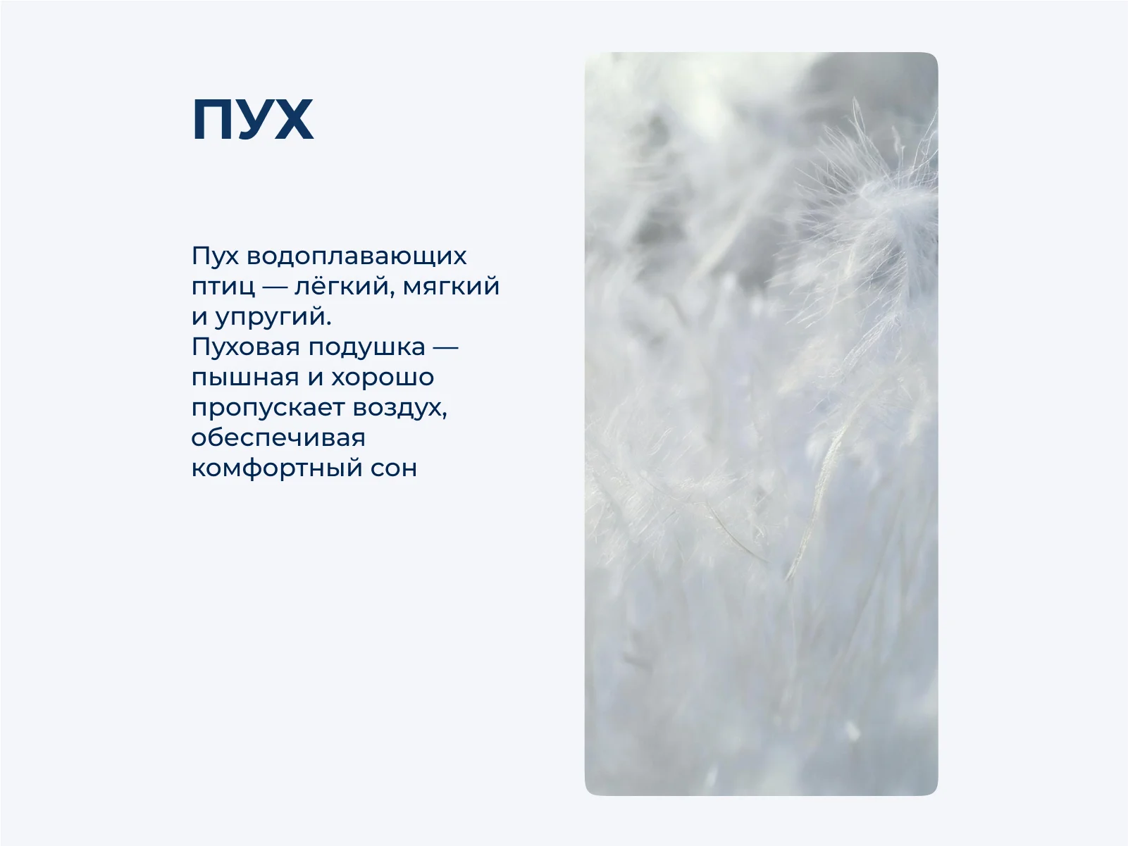 ������� ������ ��� �������� 70 � 32 �������