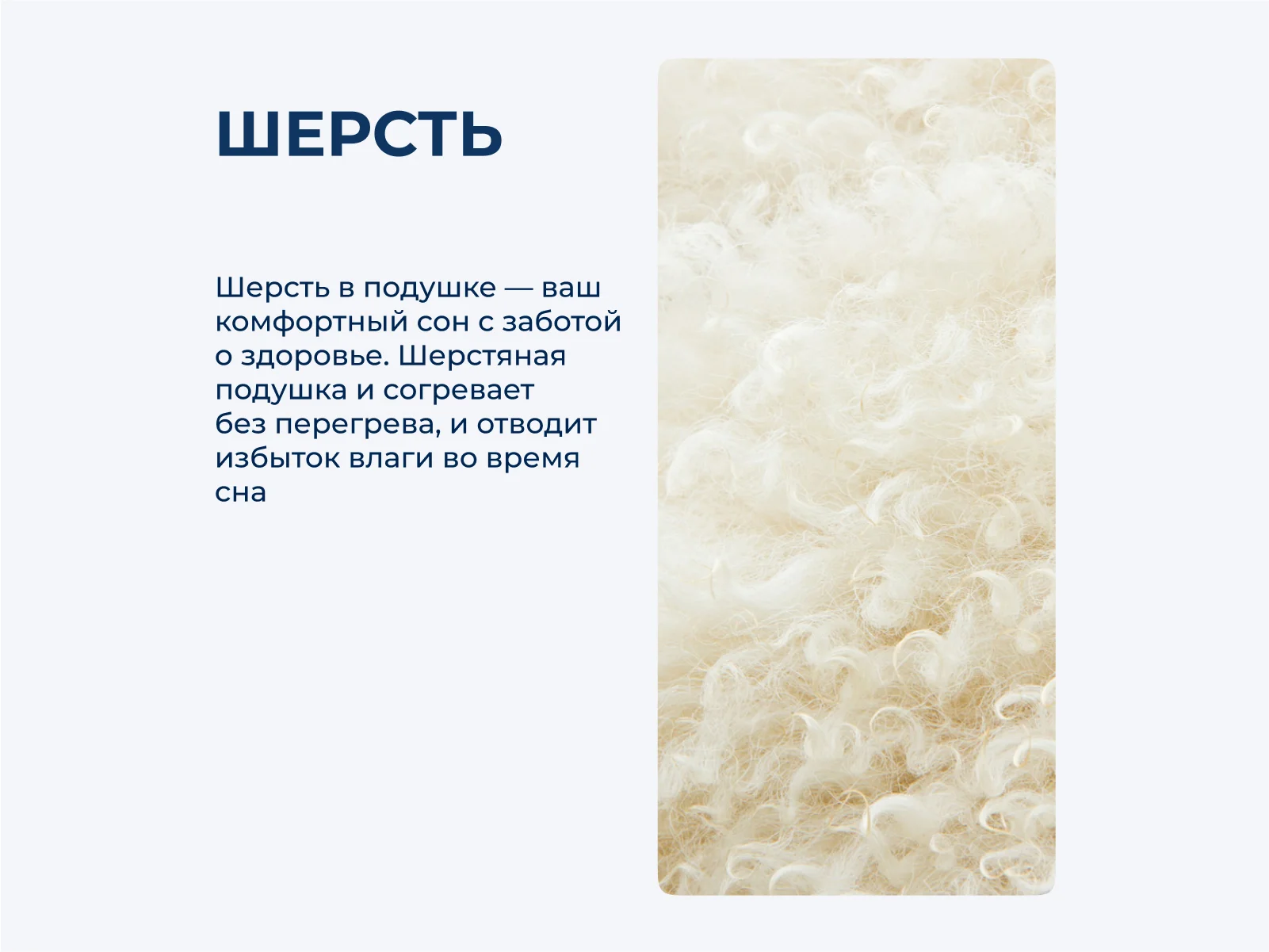 ������� Primavelle Camel 70 � ������ � 50 ��������