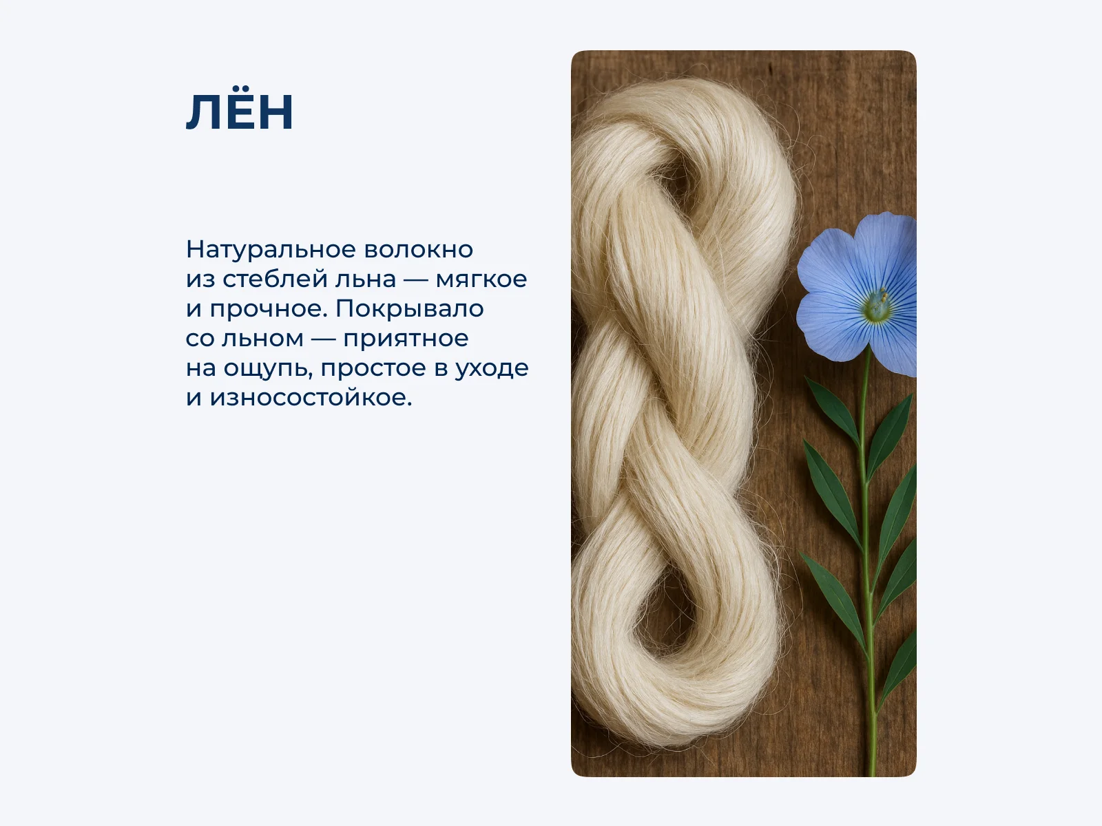 ��������� Leitner LEI_1_240 � ˸� � 7 ��������