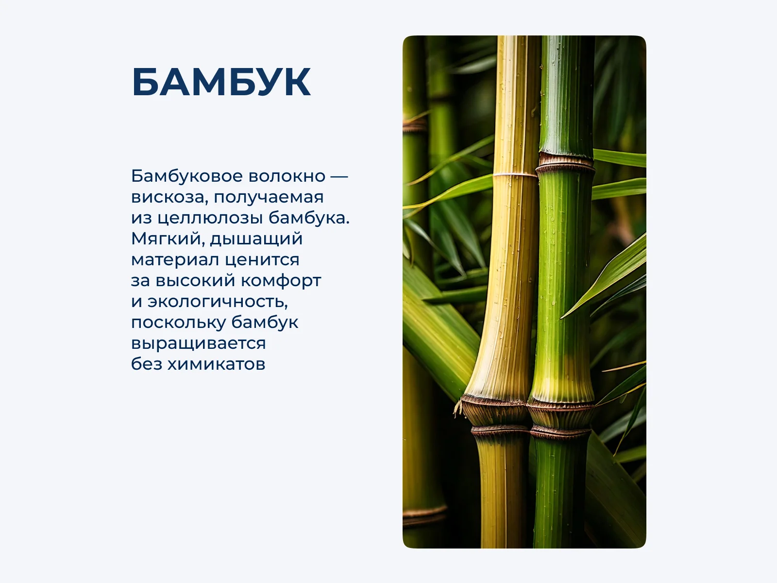 ���������� ����� ������������ �����