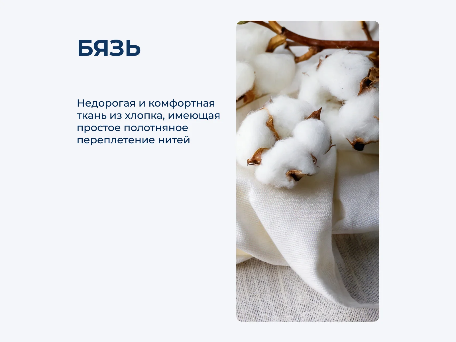 ���������� ����� Asabella 588 � ������� � 88 ��������