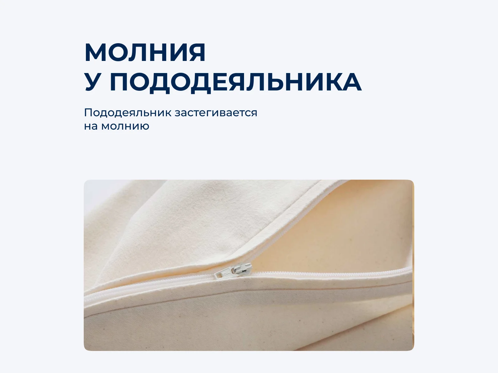 ���������� ����� Asabella 2119 � ����� � ���������� ������