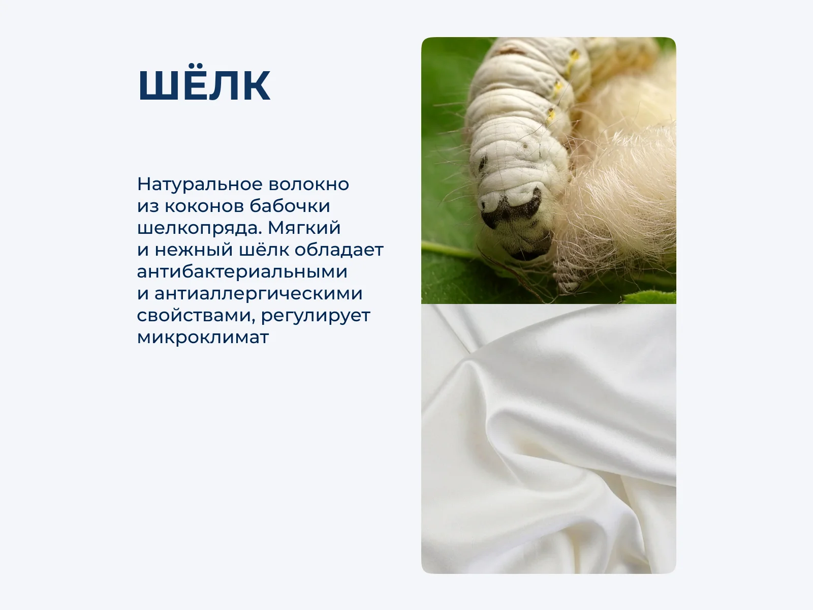 ���������� ����� Elhomme Silky black � ����� � ����������� ����