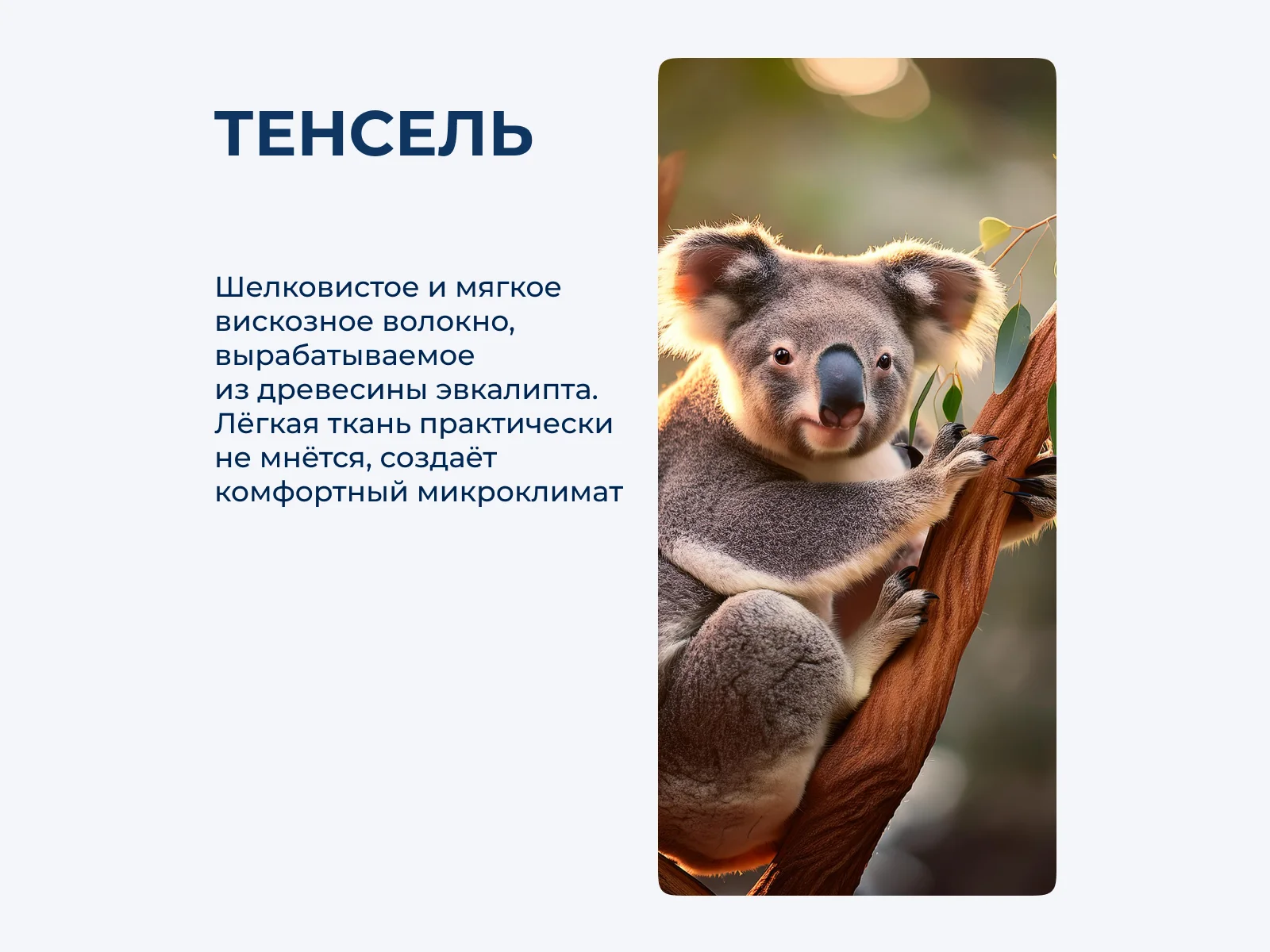 ���������� ����� Asabella 2328 � ������� � 81 ������