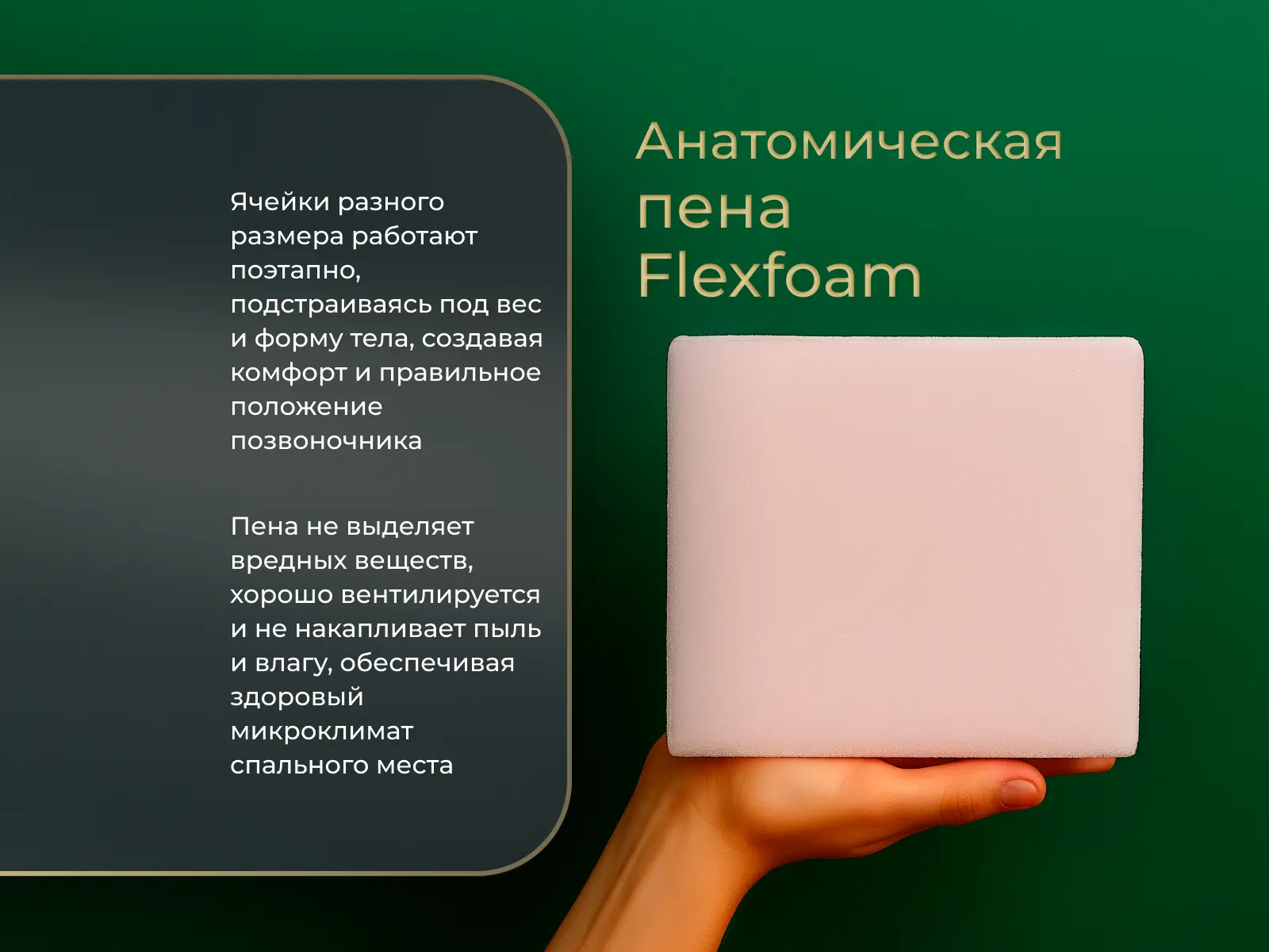 ������ Matramax �������� � ������ � �������� ������ � 1 �����