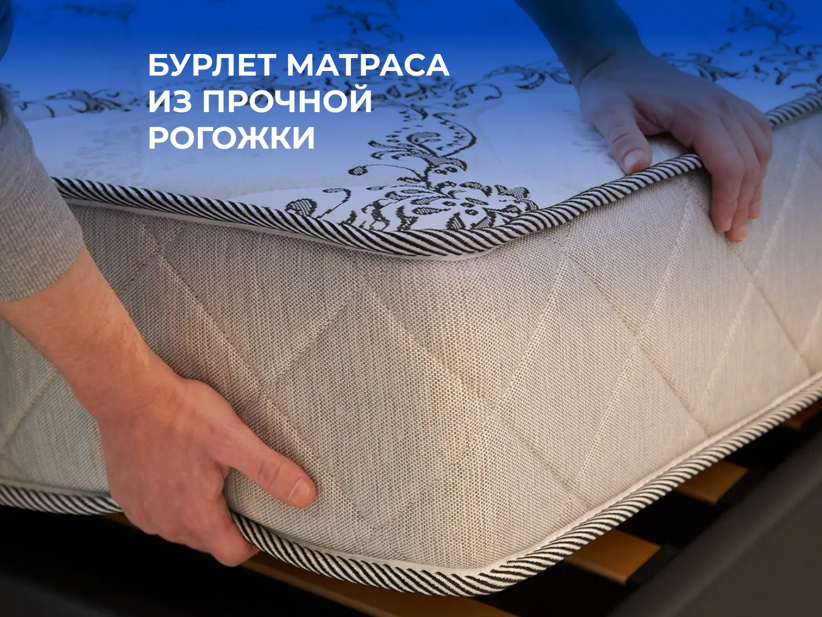 ������ Dimax ����� ���� ����� 15 � [65 x 200 ��] � � ������