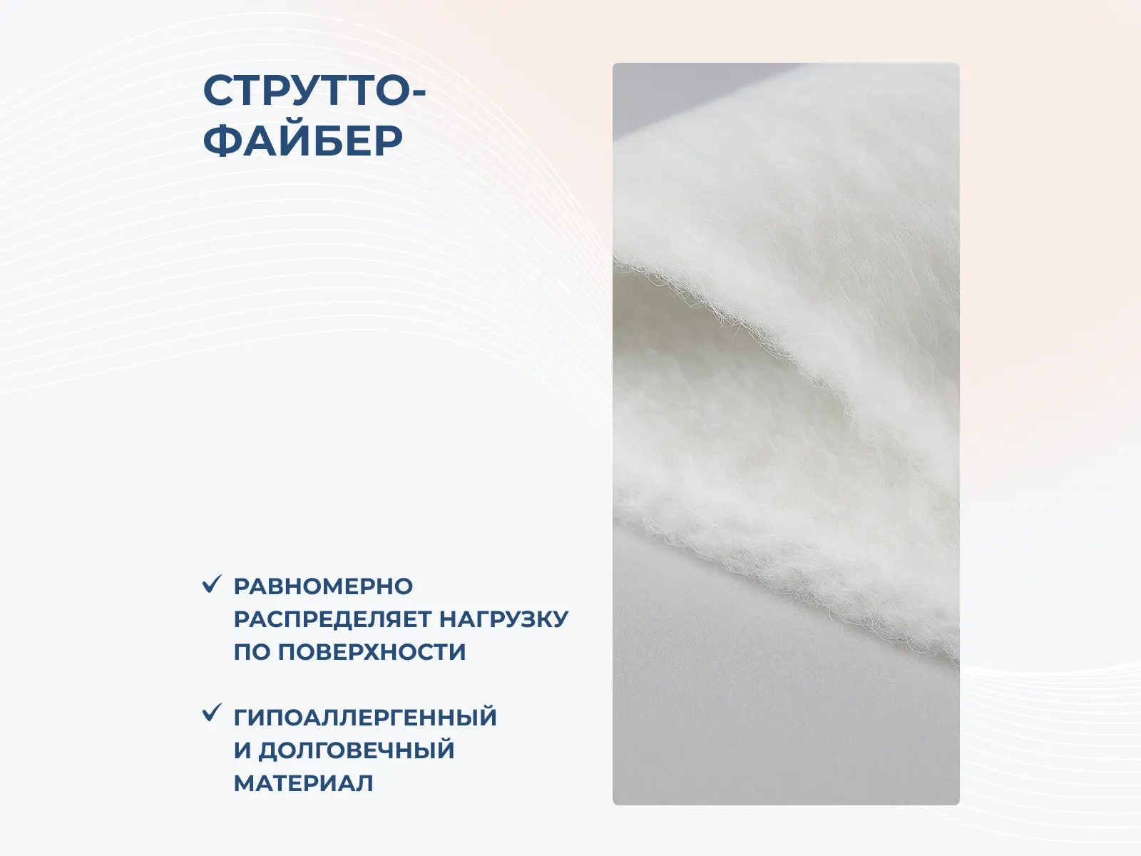 ������ Dimax �� ������� ���� ������ � [65 x 205 ��] � ���� 27229 �.