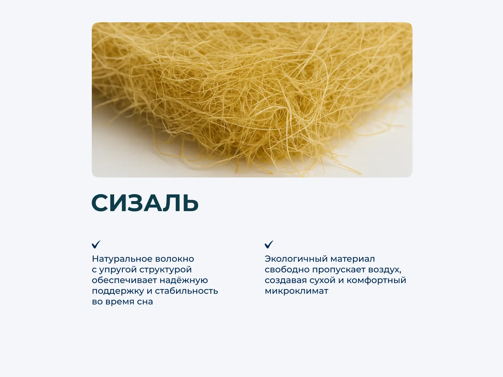 ������ Lonax Lorentto Lux � ���� 80500 �. � �������� � ���� ������!