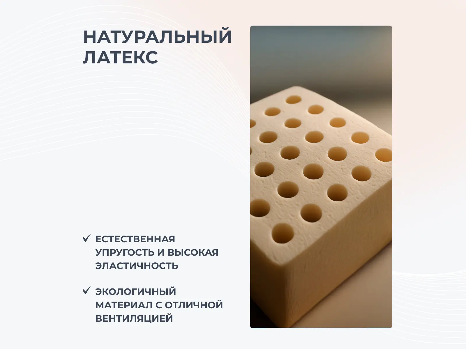 ������ Dimax �� ������ ���� � ����������� ������ � ������ �������: ������ � ������-�������