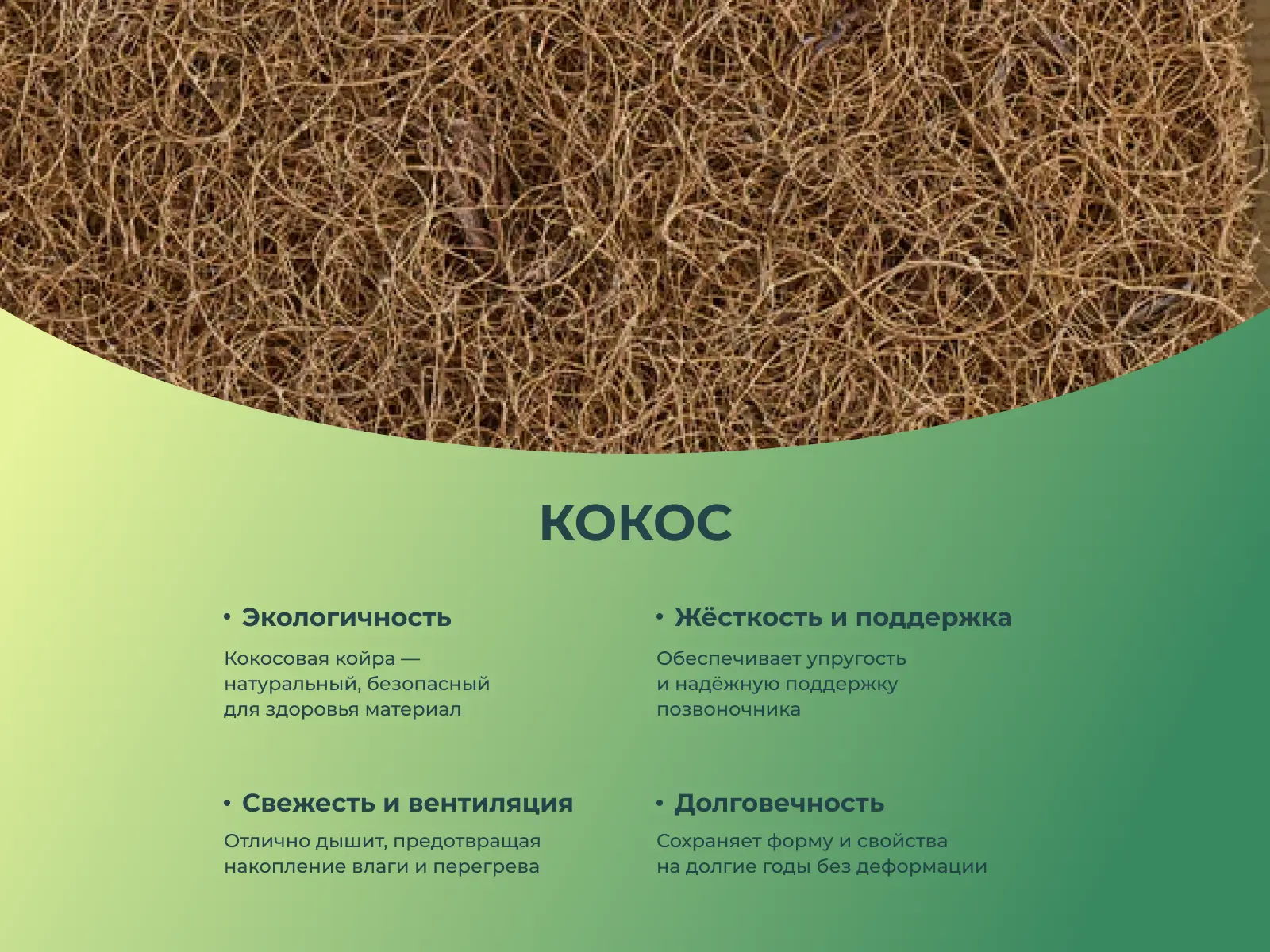 ������ Sleeptek Total Cocos Double Foam � ����������� ��������� ����� � ������ �������: 20 ��.