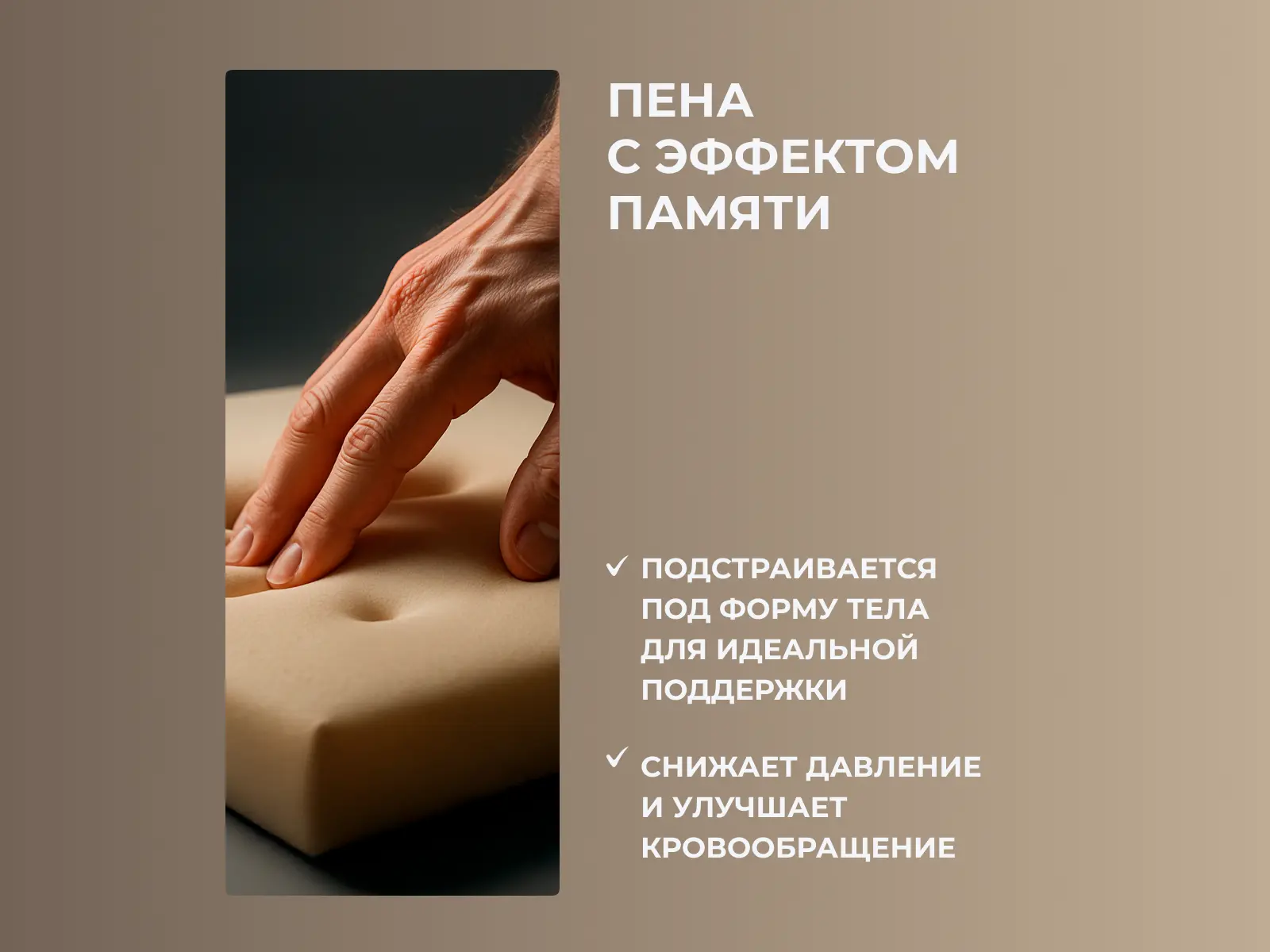 ������ Dimax ���� ���� ���� � ������ � �������� ������ � ������ �������: ������ � ������-������