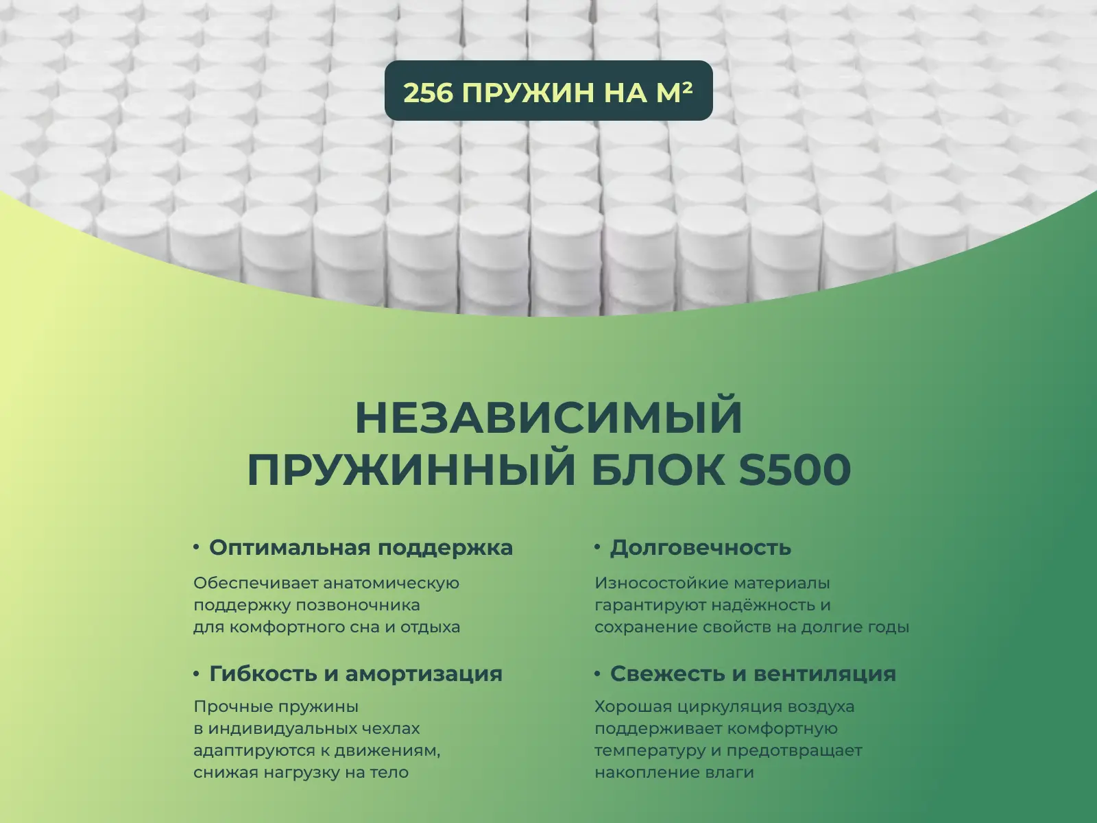 ������ Sleeptek Premier Foam Stron Norma � [65 x 200 ��] � ������������ ��� ������ ������������: 125 ��.