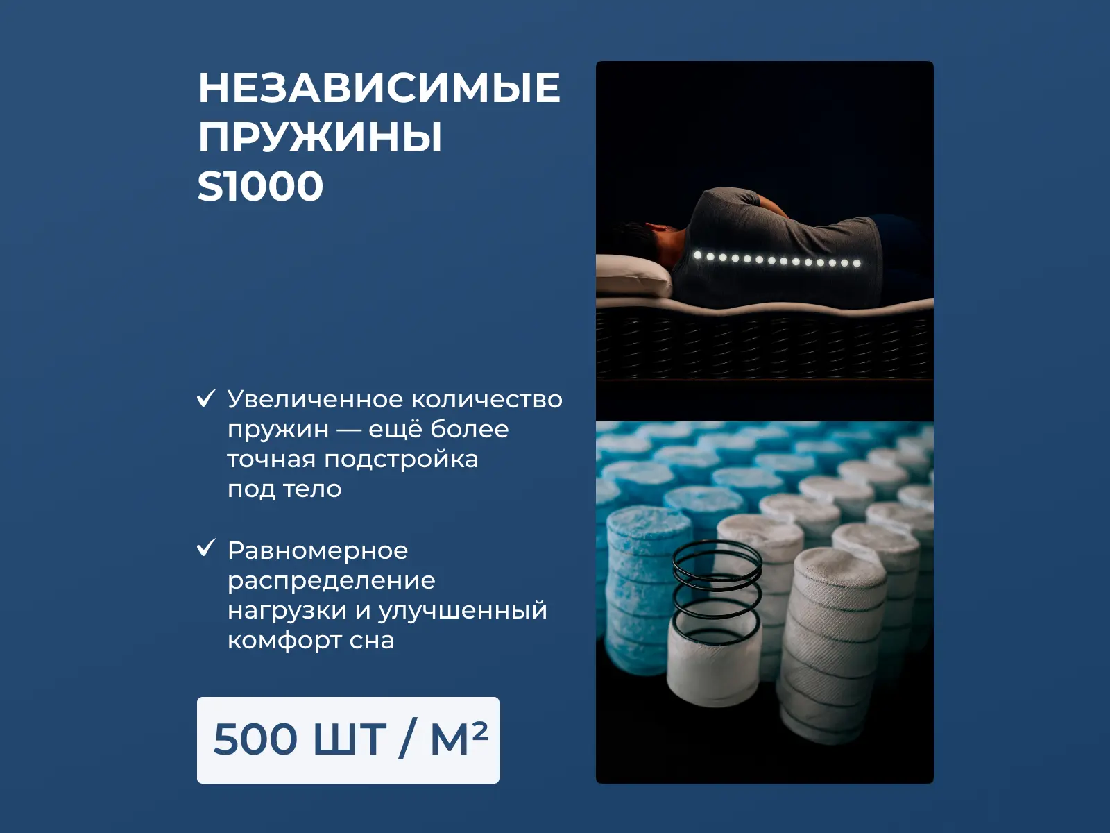 ������ Dimax Relmas Cocos 3 S1000 � ����������� ��������� ����� � ������ �������: ������-������� � �������