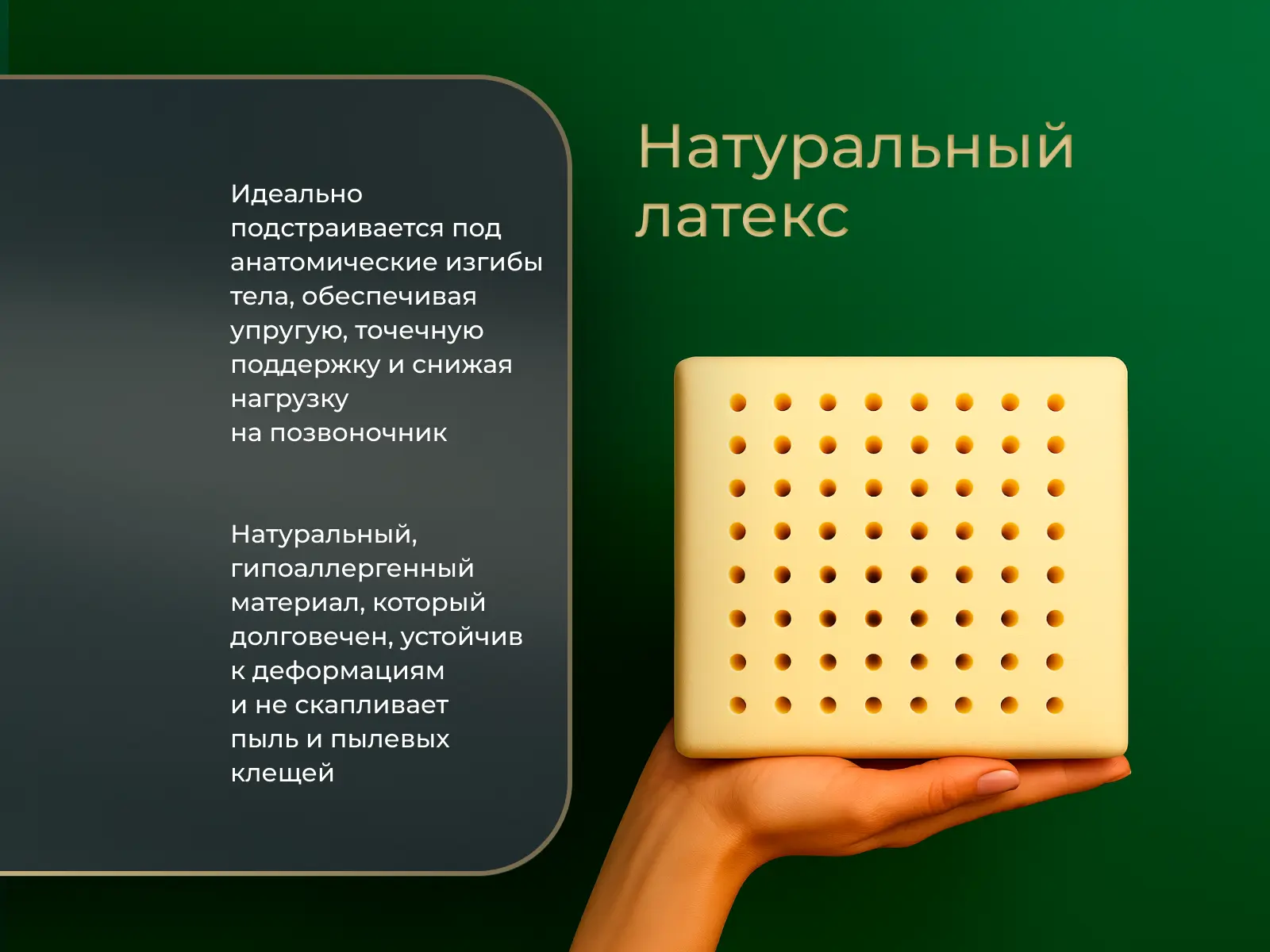 ������ Matramax ������� �2�1 � ��������� �������, ������������ ���: 165 ��.