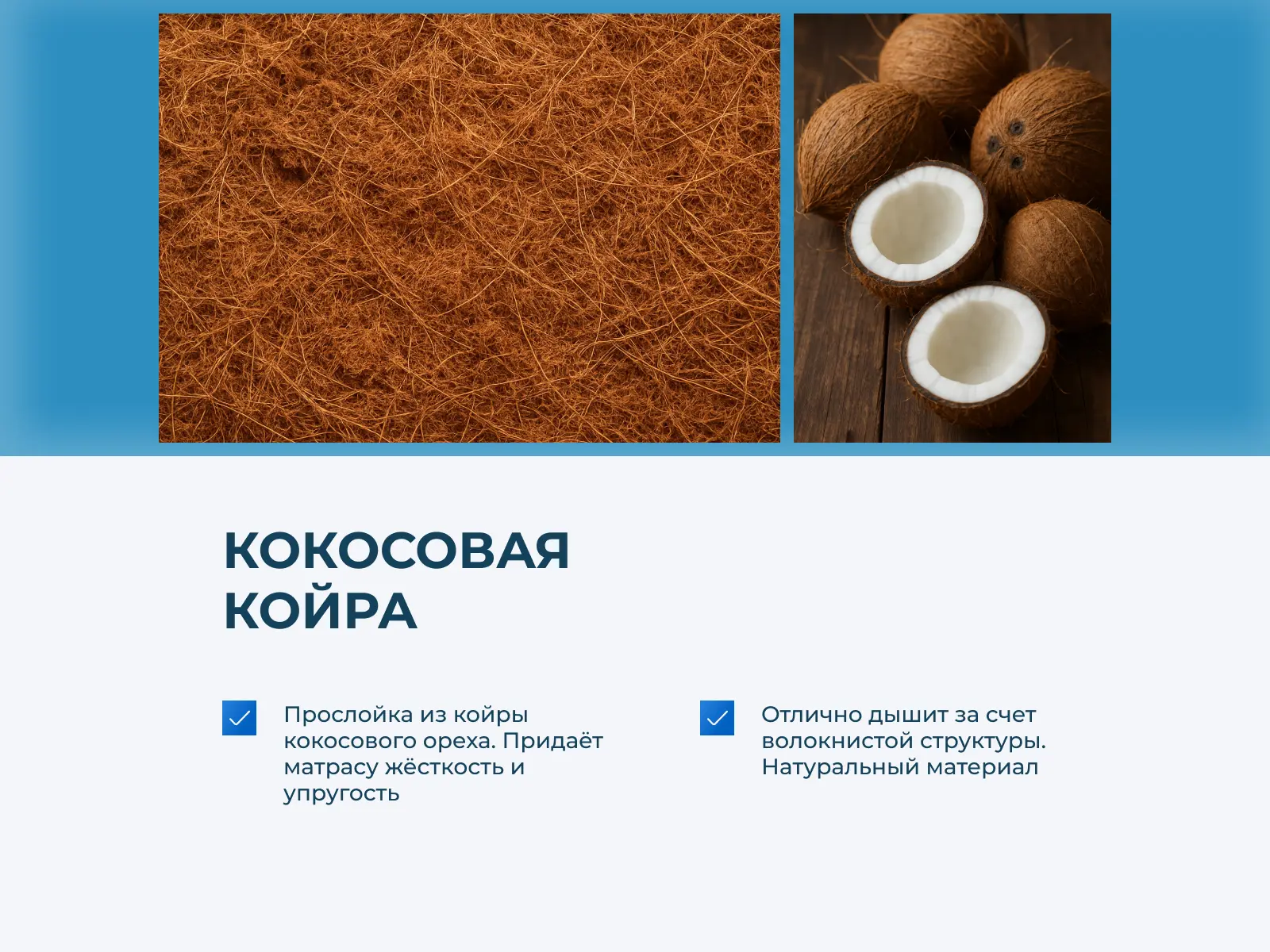 ������ Comfort Line Hard-HardStyle S1000 � ����������� ������ � ������������ ��� ������ ������������: 110 ��.